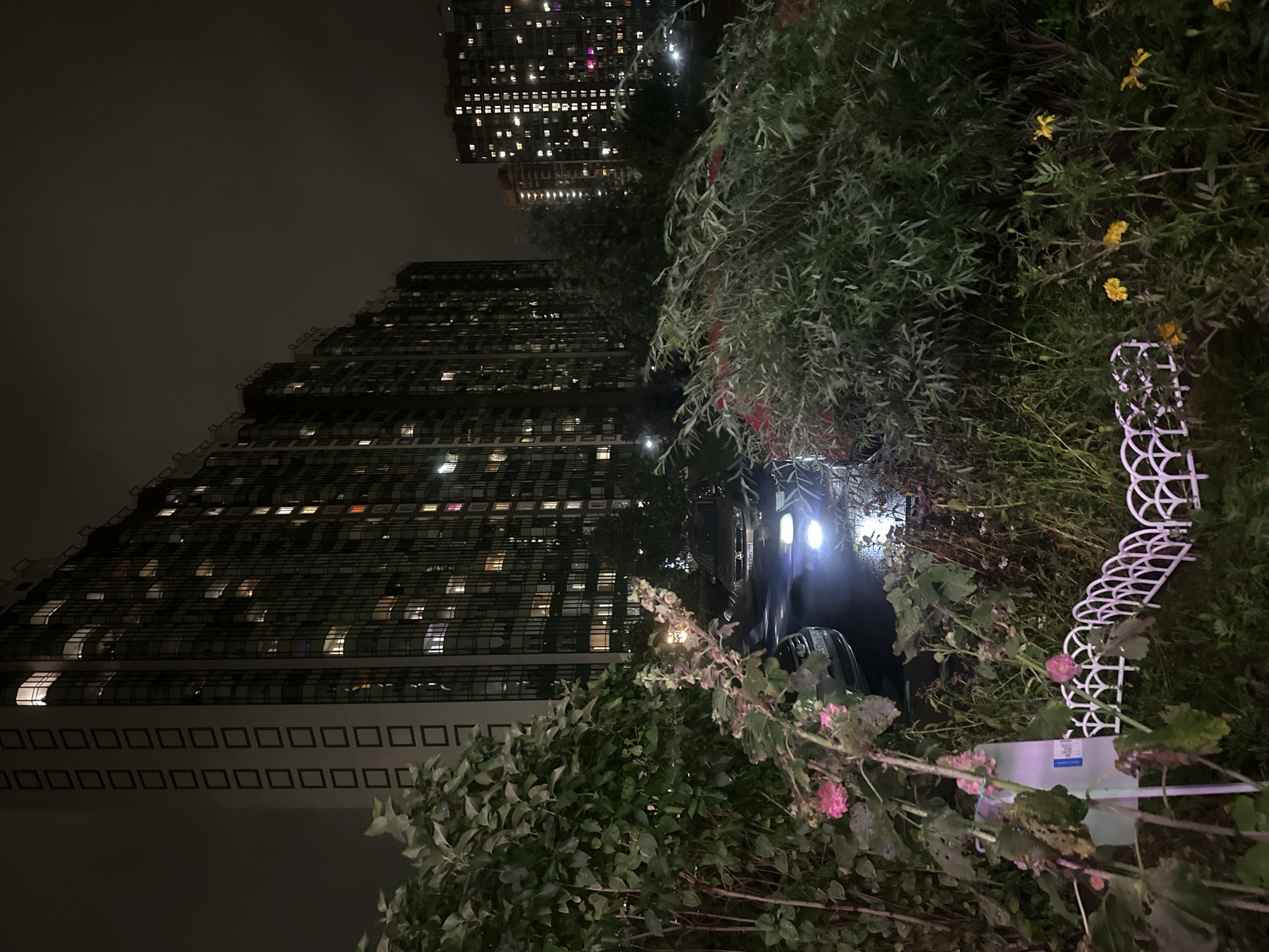 The image depicts a nighttime scene in the city of Sinyavino, Russia. In the background, tall, modern residential buildings with numerous lit windows dominate the skyline. In the foreground, dense foliage, including trees and flowering plants, creates a natural barrier. Several cars are parked on a paved surface, with their headlights and some external lighting illuminating the area. A small, decorative white fence is visible among the plants. The overall impression is of an urban residential area at night.