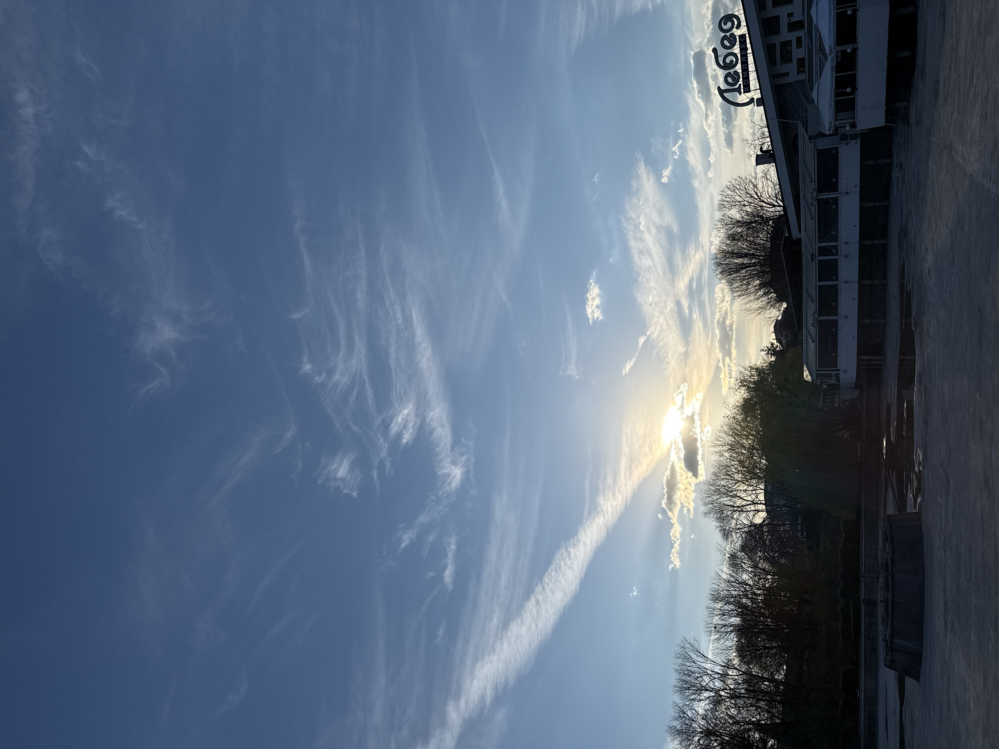 The image displays a picturesque outdoor scene under a broad, blue sky filled with delicate, wispy cirrus clouds. The sun, bright and intense, is positioned on the right side of the frame, partially veiled by clouds, creating a strong sunburst effect. A prominent, long white contrail diagonally cuts across the sky, originating near the sun and extending towards the upper left.
Silhouetted bare trees line the mid-ground on the right, suggesting a seasonal change such as late autumn or winter. To their right, a building with a light-colored facade is visible, featuring an outdoor seating area with white umbrellas. A notable sign on the building's upper section clearly displays the Cyrillic text "Лебед" (Lebed), which translates to "Swan" in Bulgarian. Below this, smaller, less legible text is also present. The foreground on the right consists of a paved or concrete surface.
The low angle of the sun indicates either an early morning or late afternoon setting. The overall weather appears clear with scattered high-altitude clouds. The scene conveys a sense of natural beauty and tranquility, likely in a public or commercial area in Dobrich, Bulgaria.