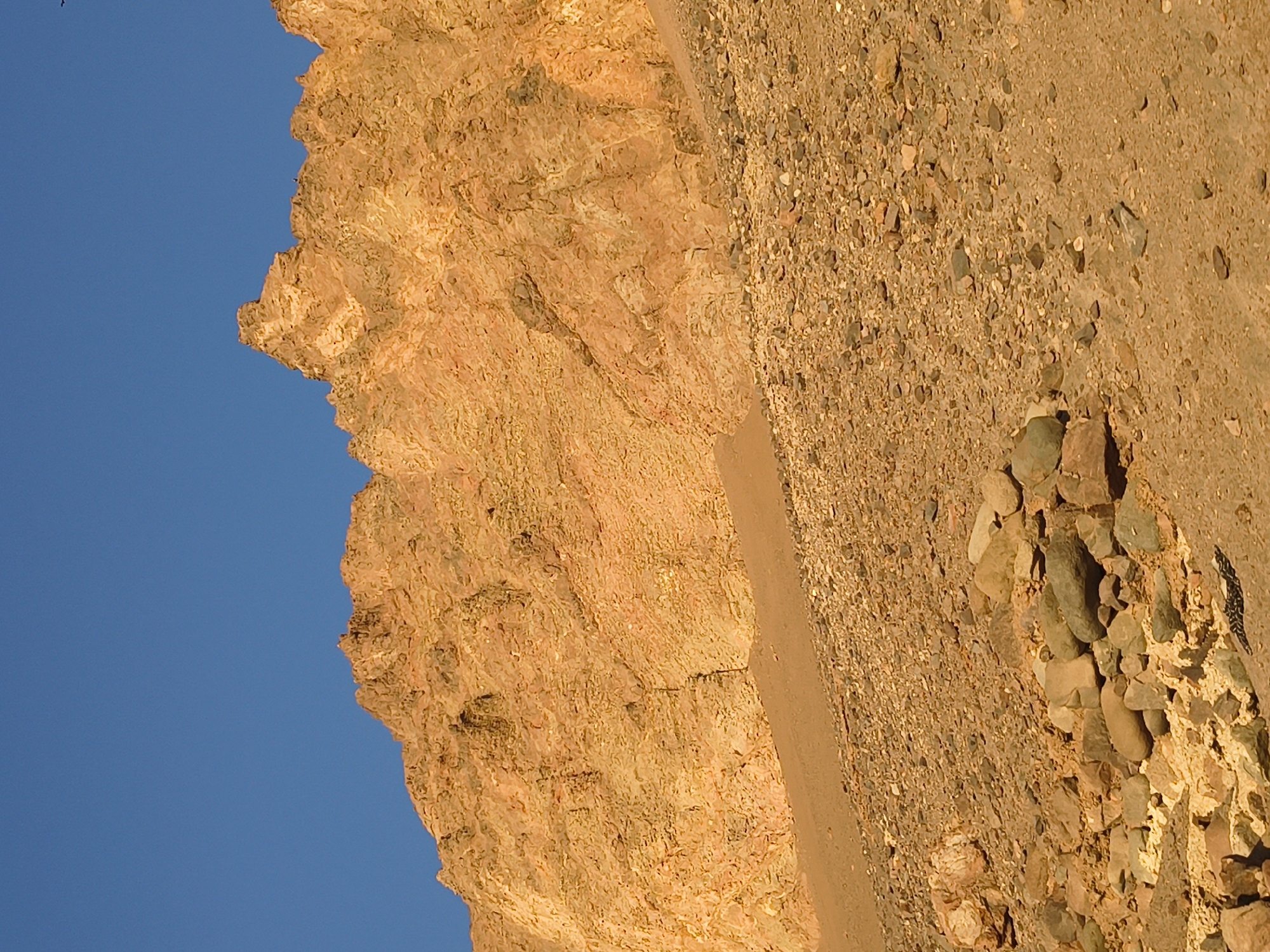 The image shows a section of a rocky cliff face in Arica, Chile, seen from a low angle. The sky, a clear, bright blue, borders the left side of the image. The cliff face is composed of light brown and orange-toned rock with visible layers and crevices. To the right of the cliff face is a gravelly area with loose rocks and sediment. The lighting suggests either sunrise or sunset, casting a warm glow on the landscape.