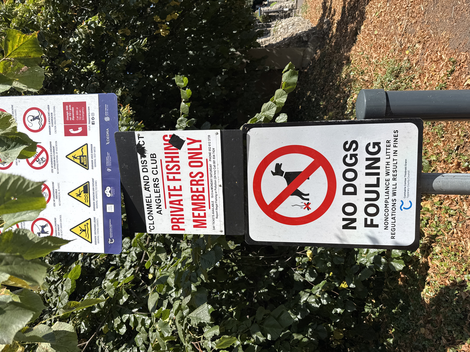 The image shows a close-up of two signs mounted on a grey pole. The top sign is white with black text and a red circle and slash symbol over a dog. It reads "NO DOGS FOULING" in large black letters, followed by "NONCOMPLIANCE WITH LITTER REGULATIONS WILL RESULT IN FINES" in smaller text. Below this text is a blue logo with the words "Comhairle Contae Thiobraid Árann Tipperary County Council".
The sign above it is also white with black text and various symbols. It announces "CLONMEL AND DISTRICT ANGLERS CLUB PRIVATE FISHING MEMBERS ONLY". Below this are details about day tickets, phone numbers for inquiries and reporting illegal fishing or pollution. The top part of this sign contains several smaller warning signs with symbols and text in both English and Irish related to fishing, such as "WARNING: STRONG CURRENTS", "WARNING: UNPROTECTED BANKS", and "CAUTION: ANGELRS FLY FISHING".
The signs are surrounded by lush green foliage from trees and bushes, with fallen leaves visible on the ground. The environment appears to be an outdoor area, possibly a park or a riverside path, located in or near Clonmel, Ireland, as indicated by the text on the signs. The lighting suggests it is daytime.
