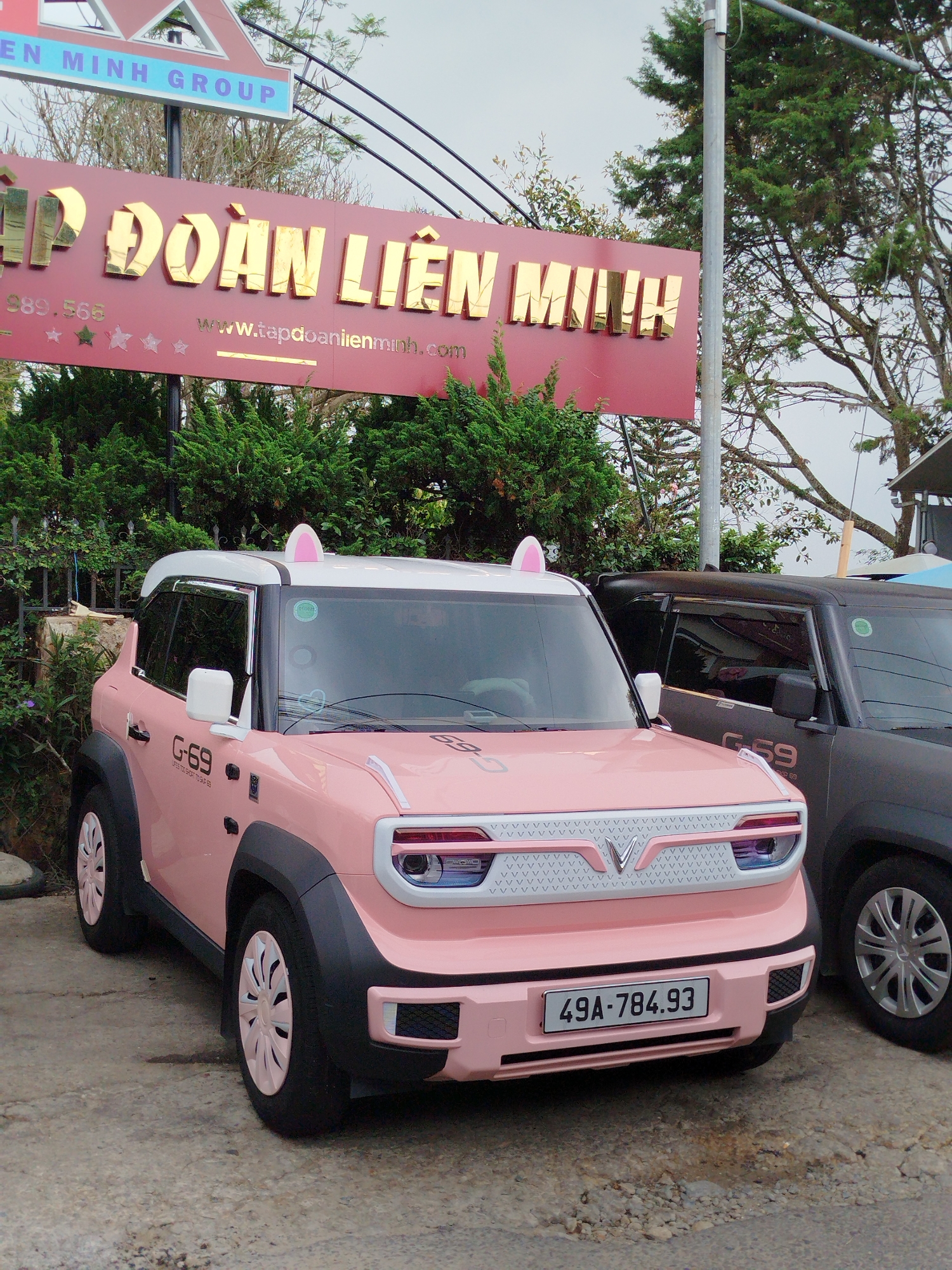 This image captures an outdoor scene in Da Lat, Vietnam, featuring two small electric vehicles parked in front of a building or business. The time of day appears to be overcast daytime, with soft, diffused lighting.
In the foreground, a prominent pink electric car is parked on a paved surface. It has a white roof and features decorative pink "cat ears" on top. The car has black wheel arches and unique pink wheel covers. The front grille displays a repeating "VVV" pattern with a stylized "V" emblem in the center. The side of the pink car has "G-69" printed on it, with smaller text below it reading "URES TOO SHORT TO SAFEB" (likely part of a slogan). Its license plate reads "49A-784.93". To the right of the pink car, a dark gray or black electric car of a similar model is partially visible, also displaying "G-69" on its side.
In the background, a large red sign with raised golden lettering is visible. The main text on the sign reads "TẬP ĐOÀN LIÊN MINH" (LIEN MINH GROUP). Above this, a smaller blue sign states "EN MINH GROUP". Below the main text, a partial phone number "089.566" and the website "www.tapdoanlienminh.com" are displayed, along with several star icons. Lush green foliage and trees surround the sign and vehicles, suggesting a natural or landscaped environment. No people are visible in the frame.