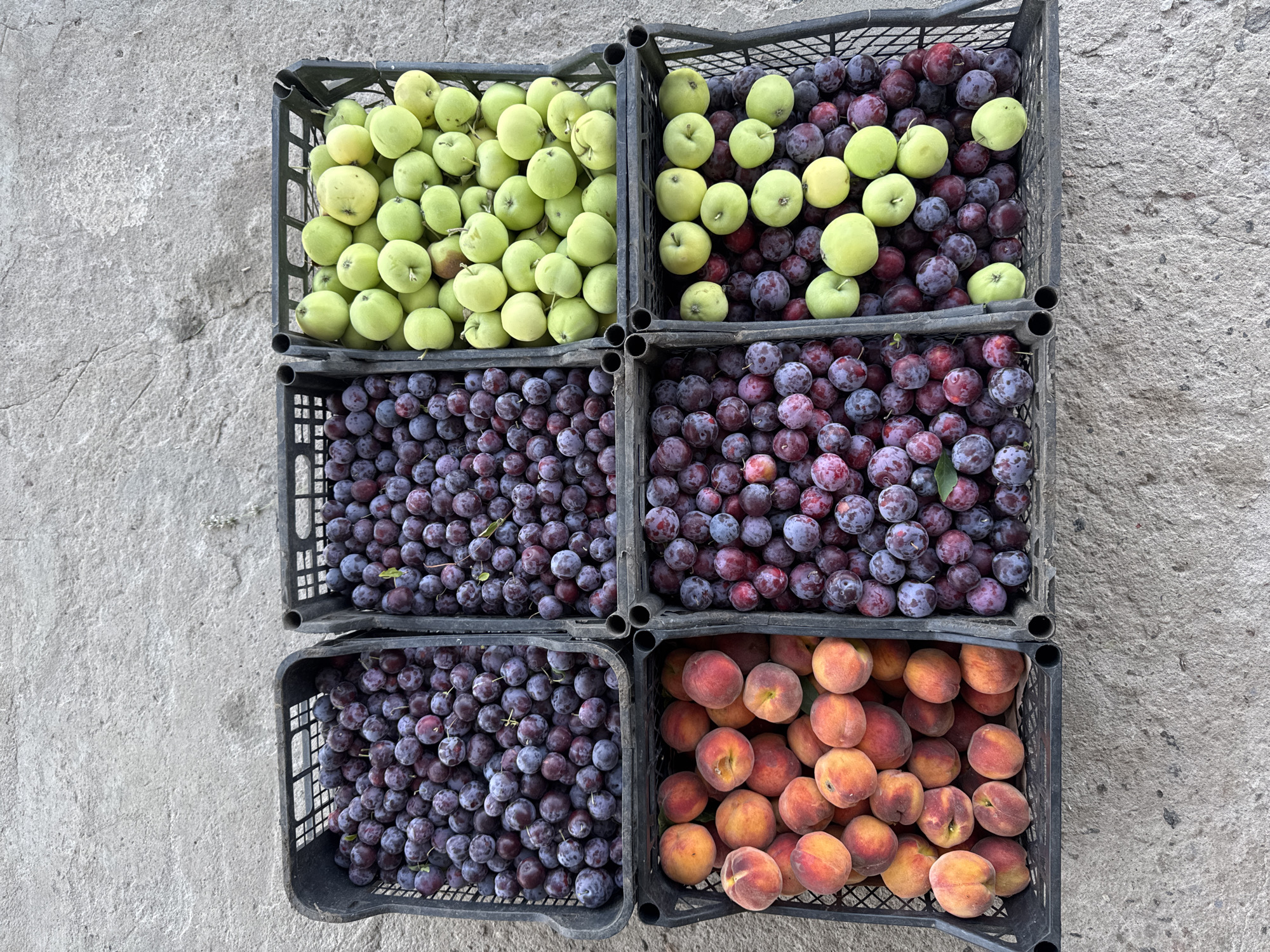 Six crates of fruit are arranged on a rough concrete surface, likely outdoors. The crates are black plastic, with a grid-like pattern. The top row of crates contains, from left to right, dark purple plums, more dark purple plums, and green apples. The bottom row of crates contains, from left to right, a crate of peaches, dark purple plums, and a mix of green apples and dark purple plums. The scene is likely in Shcherbanka, Ukraine, given the provided context. There are no people or animals visible in the image.