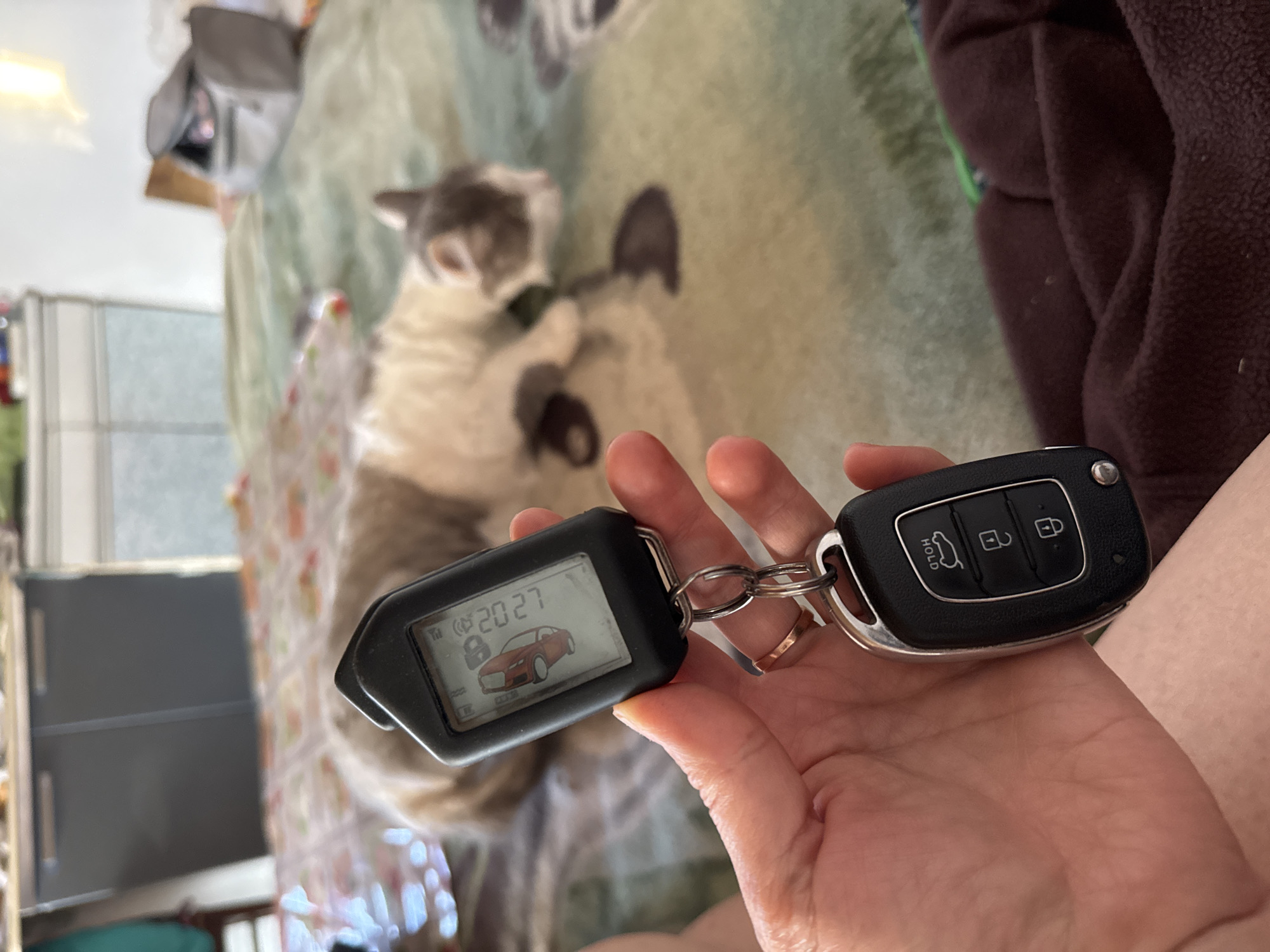 A person's hand holds a car key fob and a separate remote alarm device with a small screen displaying a red car icon and the text "L 2027". The background shows a domestic setting with a cat lying on a bed with a patterned blanket, and furniture in the distance. The image is a close-up of the hand and keys, with the background out of focus. No specific location in Starokhalilovo, Russia is identifiable from the image.