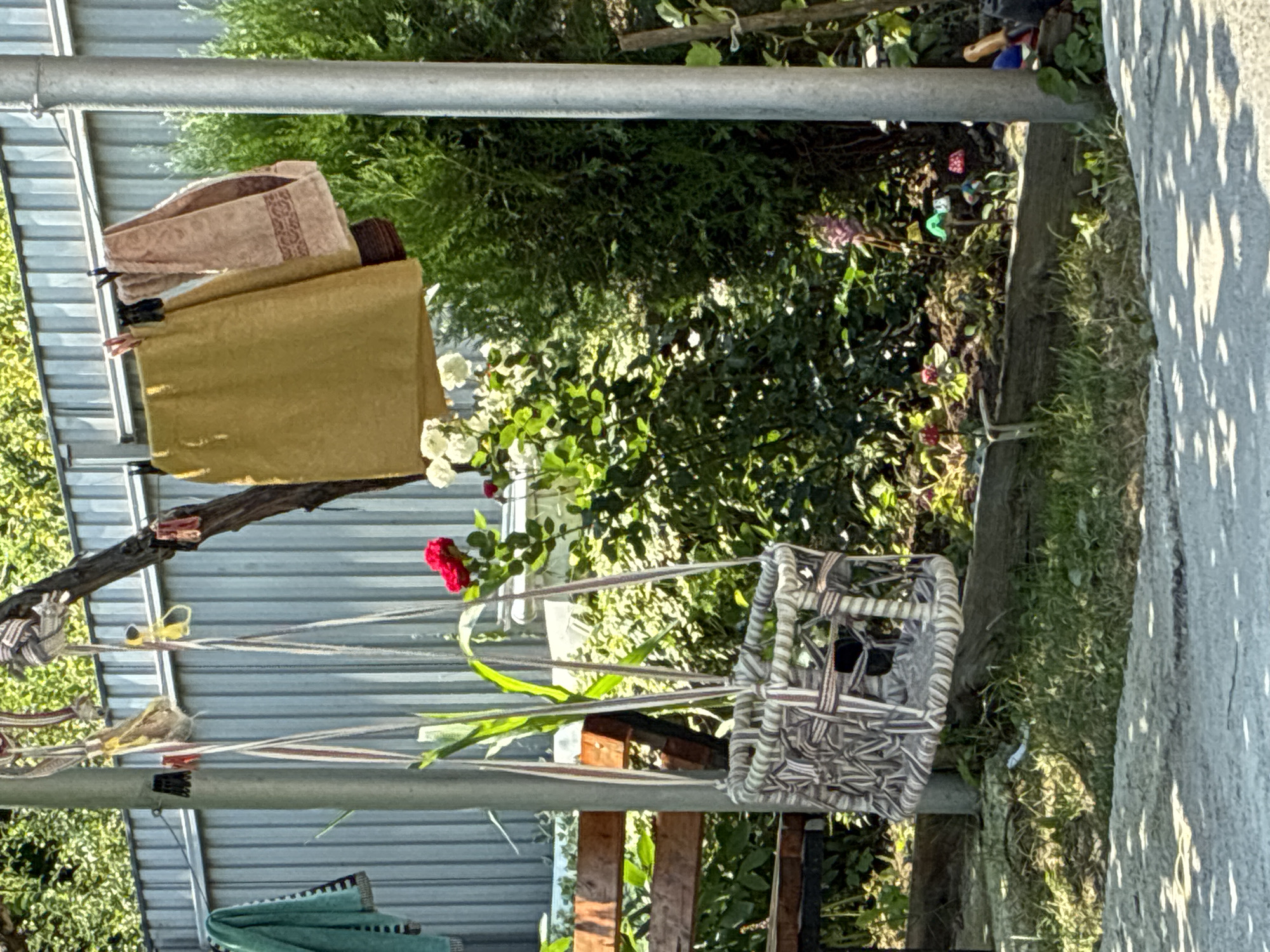 This image depicts a backyard scene in Surami, Georgia, with a focus on a hanging child's swing and laundry drying on a clothesline. The swing, made of woven fabric and rope, is suspended from a tree branch by thin ropes. To the right, a metal pole supports a clothesline where several items of laundry, including a yellow garment and two towels, are hung with clothespins. The background features a grey corrugated metal fence, lush green bushes, and flowering plants, including a vibrant red rose. A wooden bench is visible to the left, partially obscured by the swing. The ground is covered with grass and a paved path, with shadows cast from overhead foliage. The overall impression is of a sunny, domestic outdoor space.