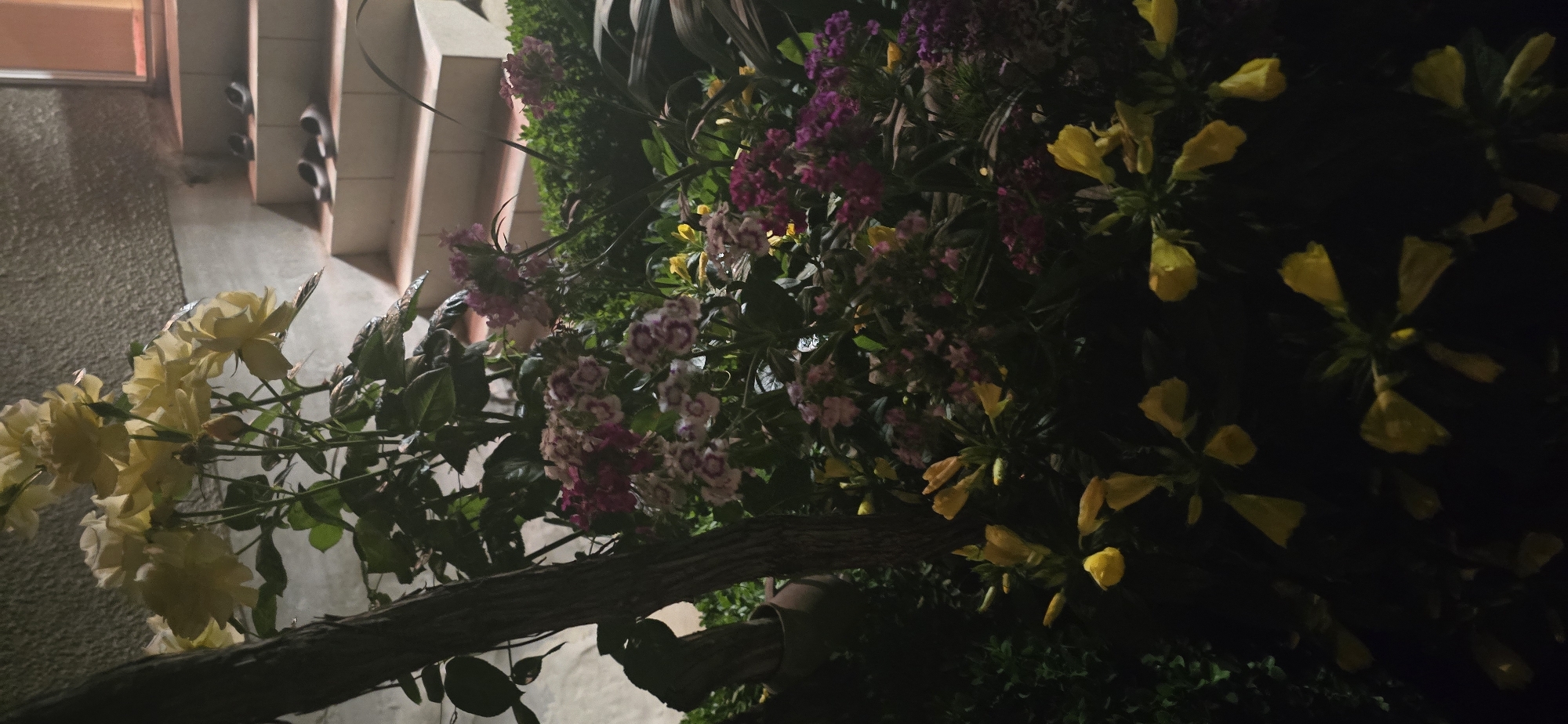 This nighttime image, taken in Govedare, Bulgaria, captures a vibrant display of flowering plants set against a dimly lit architectural background. The scene is dominated by a variety of blooms illuminated by unseen artificial light, creating stark contrasts between the colorful petals and the deep shadows.
On the left side of the frame, a cluster of light yellow roses is prominently featured, their delicate petals and green leaves catching the light. A sturdy wooden trellis or support structure for these climbing plants is visible horizontally across the lower central portion of the image.
Towards the center and right, the floral arrangement expands to include dense clusters of smaller flowers. There are numerous magenta and purple blooms, alongside others with white and pink petals, suggesting varieties like dianthus or phlox. Further to the right, a bush with distinct yellow, bell-shaped flowers adds another splash of color, standing out against the dark foliage.
In the blurred background on the left, architectural elements of a building or structure are discernible. These include what appear to be steps or a tiered wall, possibly a stairway, with small, dark, cylindrical objects mounted on the vertical surfaces, which might be lights or decorative fixtures. The overall impression is that of a cultivated garden space, perhaps a patio or entranceway, at night. No human subjects, activities, or visible text are present. The atmosphere is one of serene natural beauty under the cover of darkness.