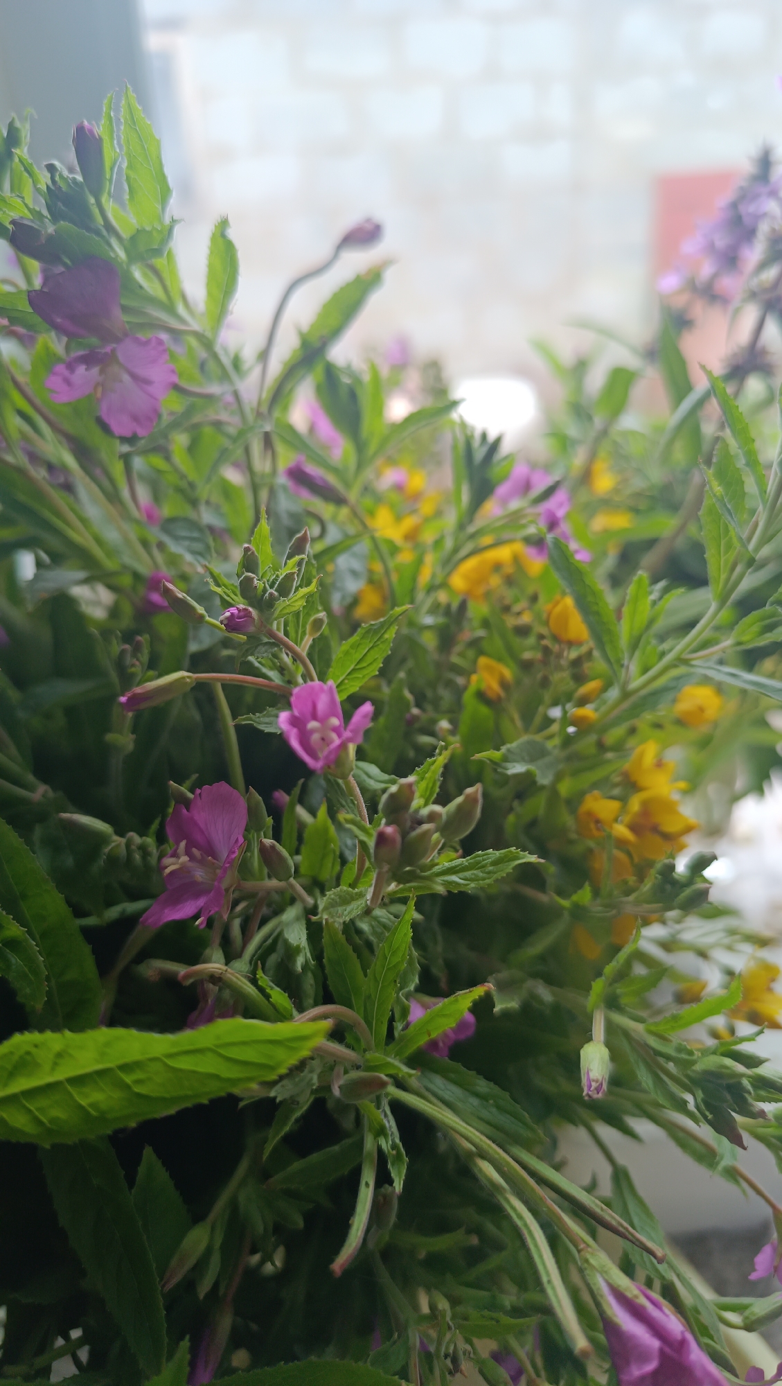 The image shows a close-up of a bouquet of wildflowers, primarily featuring small pink and yellow blossoms interspersed with vibrant green foliage. The flowers are delicate and appear to be in various stages of bloom, with some buds still tightly closed. The background is softly blurred, suggesting the bouquet is indoors near a window, with a faint suggestion of a brick wall and possibly some light coming through. No specific location in the city of Karsha, Russia is identifiable from the visual information provided. There are no people, actions, or interactions depicted.