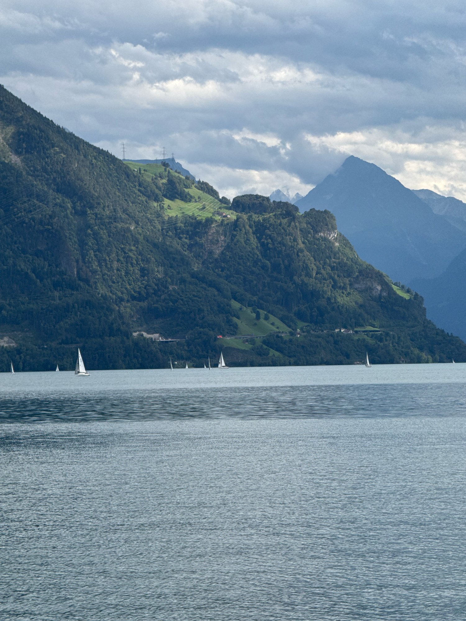 The image depicts a panoramic view of a large body of water, likely a lake, with a steep, densely forested mountain rising from its edge. The mountain has patches of green, possibly farmland or meadows, on its upper slopes. Several tall, industrial electricity pylons are visible on the hillside. In the distance, several sailboats are scattered across the water. The sky is overcast with dramatic clouds. The scene is tranquil and scenic, characteristic of the alpine landscape found in Seelisberg, Switzerland.