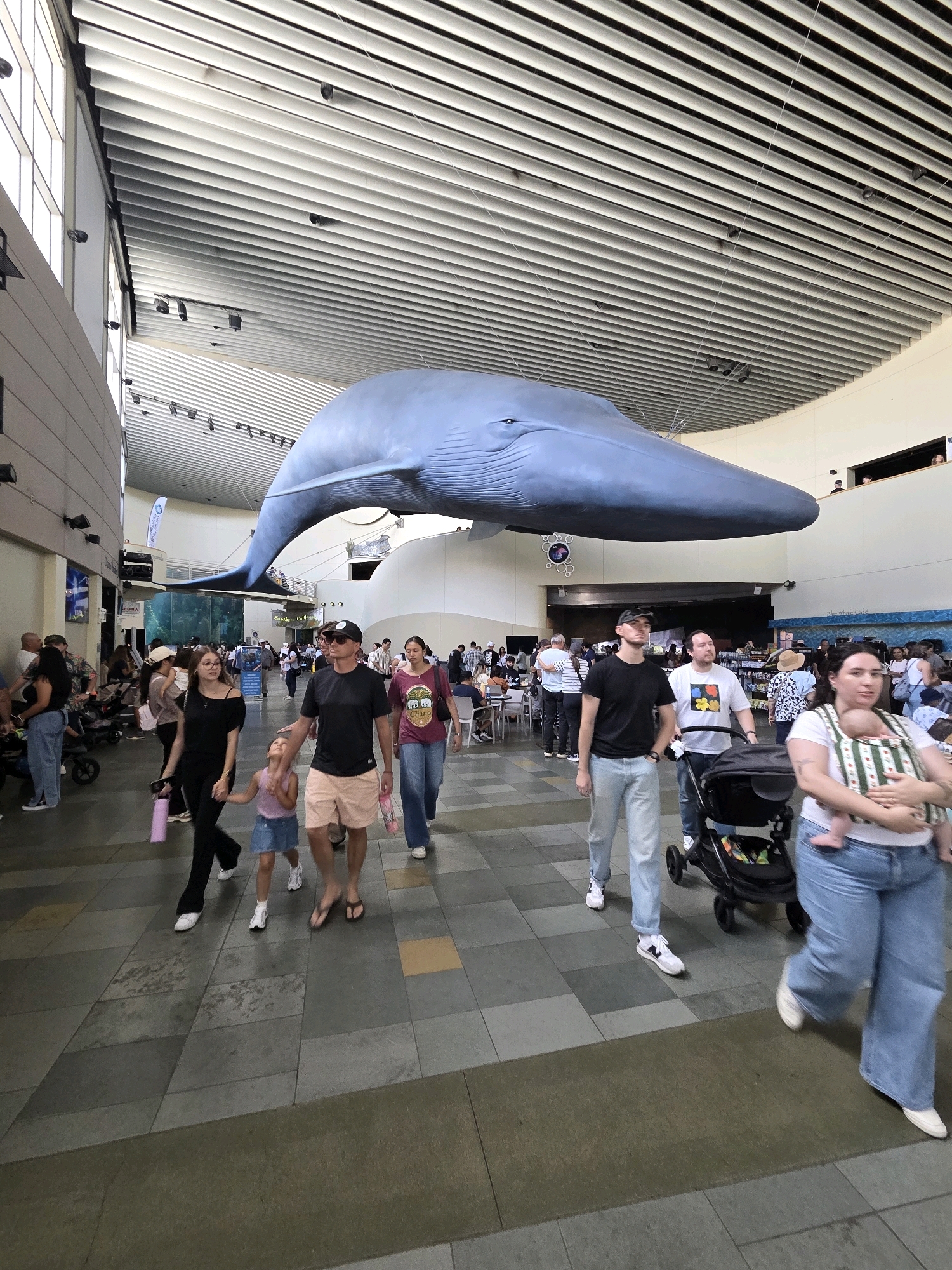 The image captures a wide-angle view of the interior of an aquarium or museum, likely the Aquarium of the Pacific in Long Beach, California, given the presence of a large blue whale model suspended from the ceiling. The architecture features a high, slatted ceiling with industrial lighting and large windows. A diverse group of people, including families with children and individuals, are seen walking across a tiled floor in the foreground and mid-ground. Some people are pushing strollers, and one woman is wearing a baby in a carrier. The overall atmosphere appears to be one of public visitation and exploration within a large indoor public space.