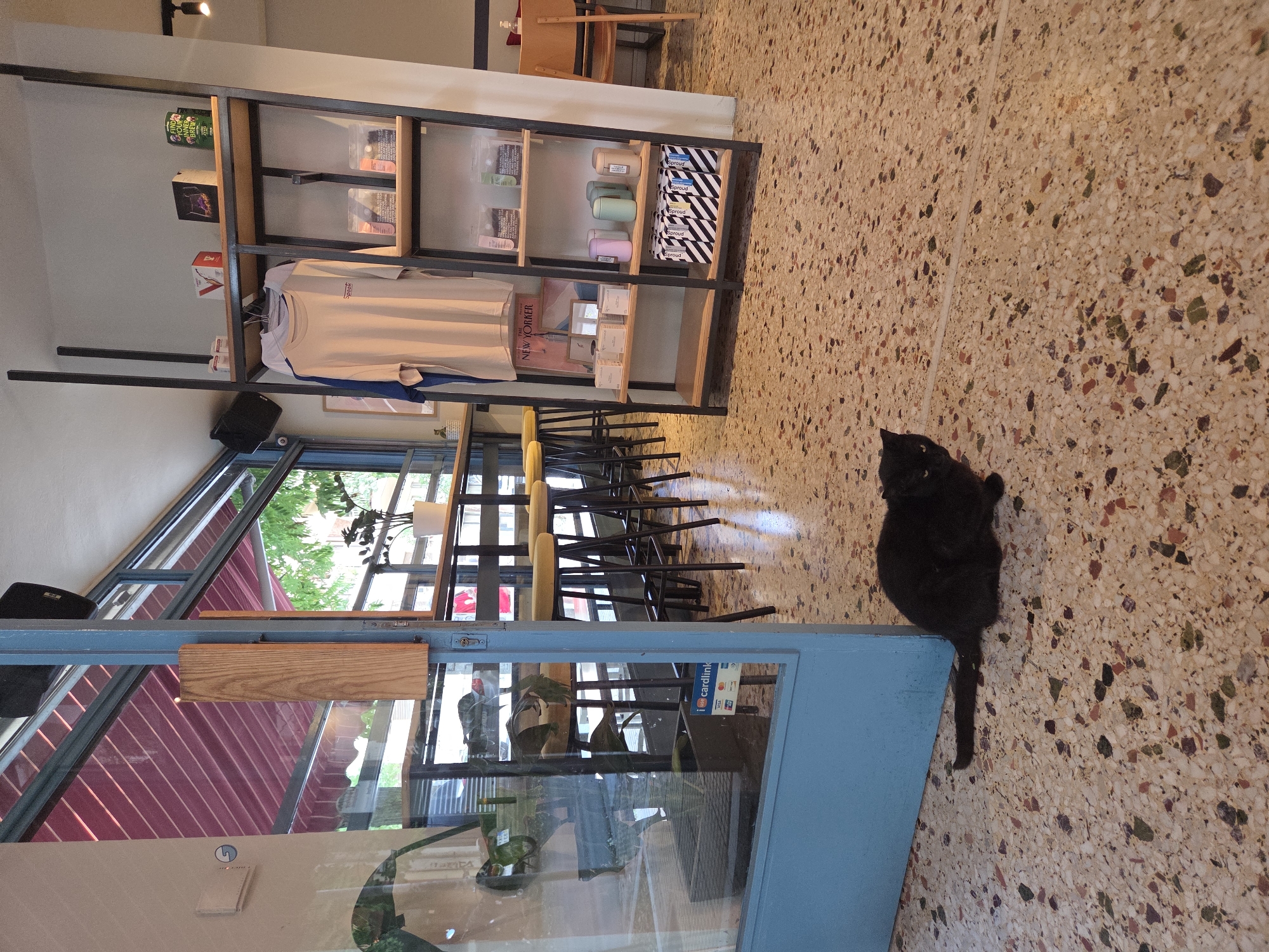 A black cat is crouched on a speckled terrazzo floor inside a cafe in the Municipal Unit of Tavros, Greece. The cat is looking towards the camera with its tail extended. To the left, a blue doorway leads outside. Behind the cat, a retail shelf unit displays clothing and various products. Several bar stools are visible along a counter in the background. The overall impression is of a casual, indoor retail and cafe environment.