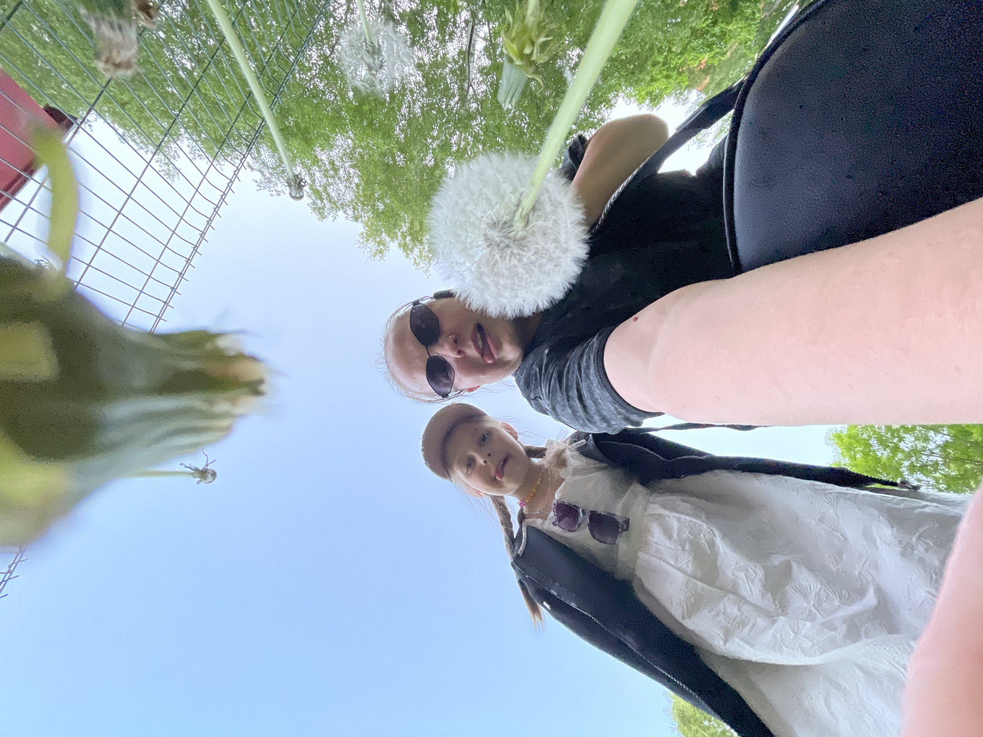 Two individuals, an adult and a child, are positioned at a low angle, looking upward towards the camera. The adult wears sunglasses and holds a large dandelion seed head near their face. The child wears a hat, a light-colored dress with a dark jacket and sunglasses around their neck. Above them, a blue sky transitions into greenery and additional dandelions with seeds, while also appearing in the upper left corner and a section of wire fencing. The location appears to be outside. There is no information available to confirm the location within the city of Izhevsk, Russia.