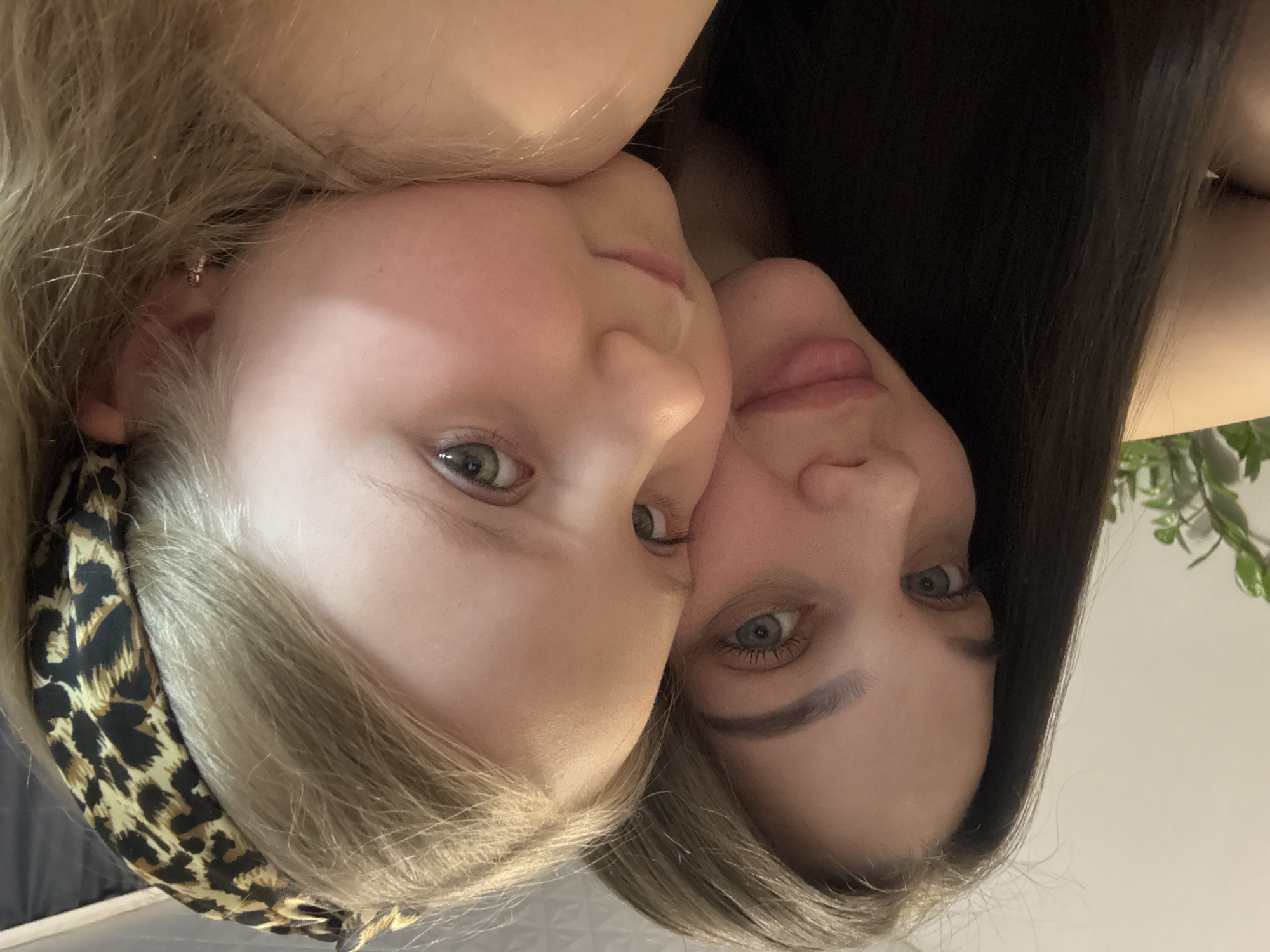 An adult female and a young female child are depicted in a close-up indoor portrait, positioned cheek-to-cheek and looking directly at the camera. The adult female has long, dark brown hair and blue eyes. The child female has blonde hair and green-grey eyes, wears a leopard print headband, and a small earring in her right ear. Both individuals have light skin tones. The child's right cheek rests against the adult's face. The background consists of a plain light-colored wall, with the partial outline of a green houseplant visible on the left side behind the adult. The scene is located in the city of Chaikovsky, Russia.