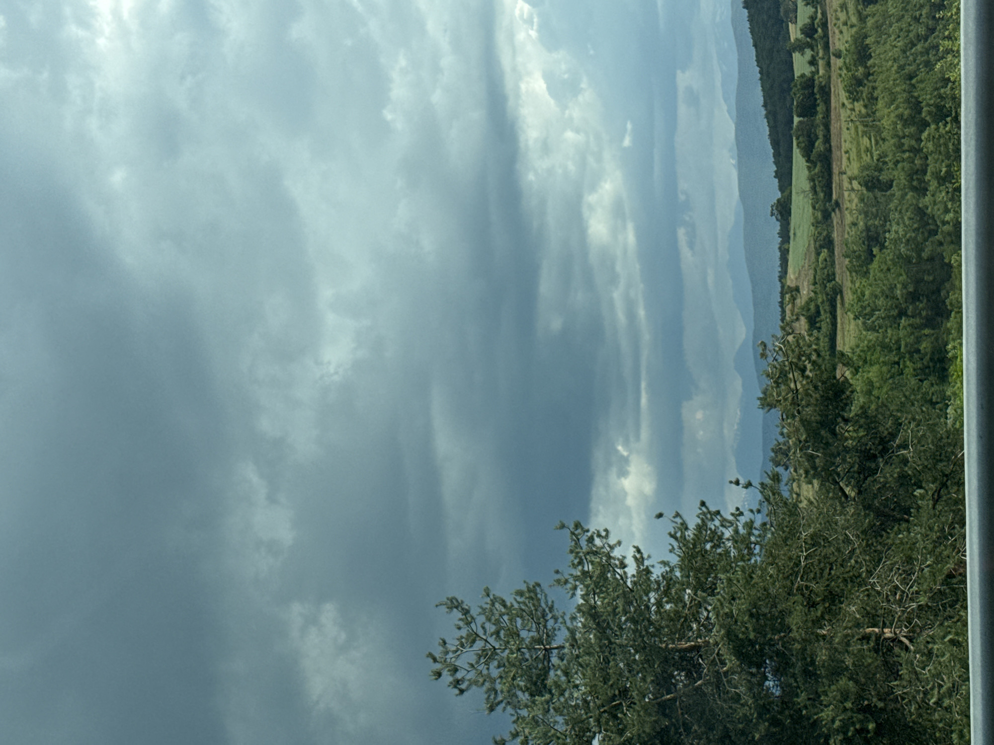 The image depicts a landscape with a dramatic sky filled with dark, overcast clouds. In the foreground, a large evergreen tree with dense foliage dominates the left side of the frame. Beyond the tree, rolling hills covered in green vegetation stretch into the distance. A distant range of mountains can be seen on the horizon, appearing hazy and muted by the atmospheric conditions. The overall impression is one of a natural, rural setting under a brooding sky, potentially before or during a rain shower. There are no people or man-made structures clearly visible in the scene, apart from what appears to be a railing in the very bottom of the frame. The location is identified as Rajana, Bulgaria.