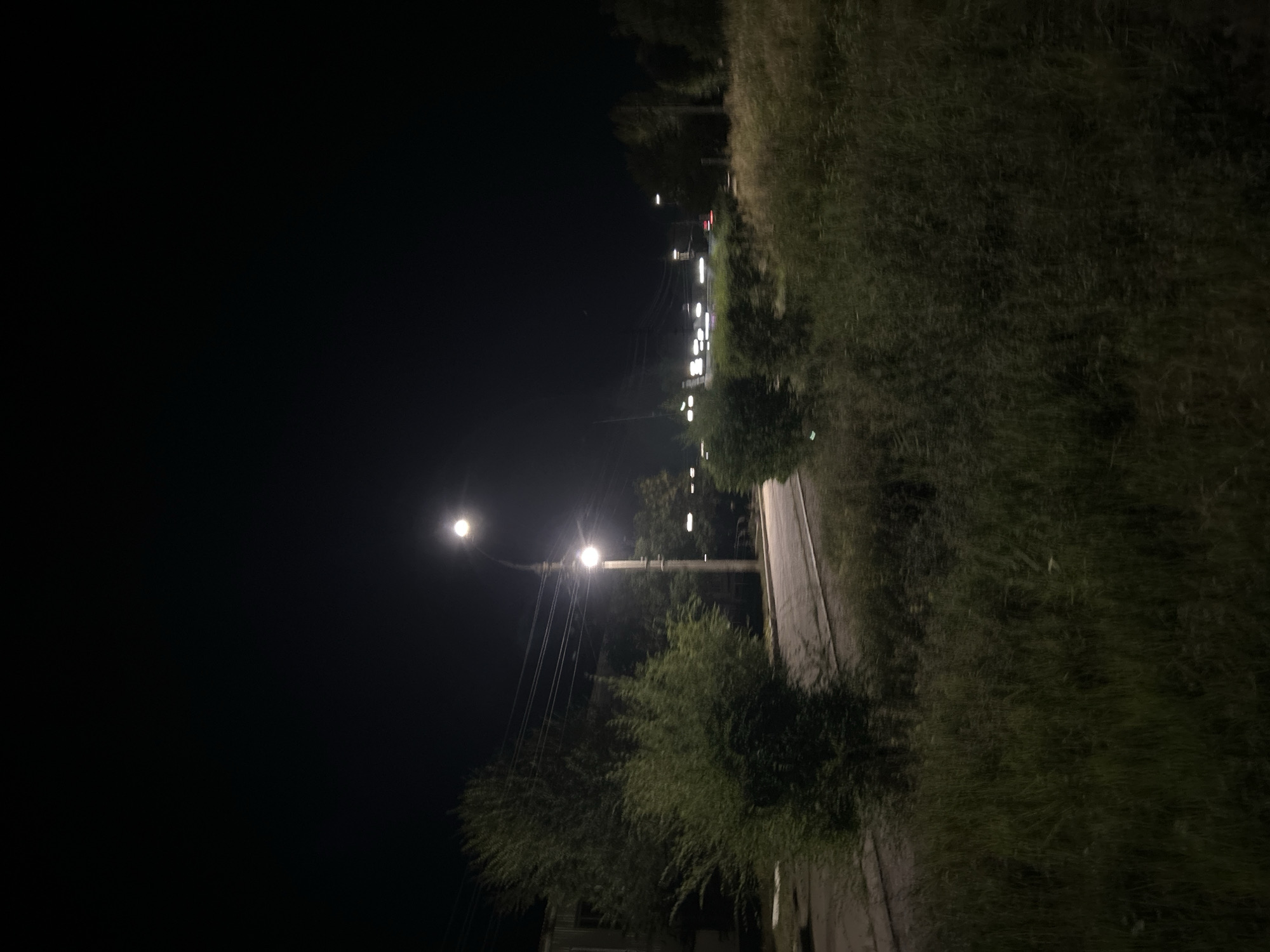 A nighttime scene depicts a street in Gornyy, Russia, illuminated by streetlights. The foreground is dominated by tall, wild grass and vegetation. To the left, a building and a dense bush are visible. A paved road curves through the middle ground, with more trees and bushes lining its sides. In the background, distant lights suggest more buildings and possibly moving vehicles. The sky is dark and cloudless.