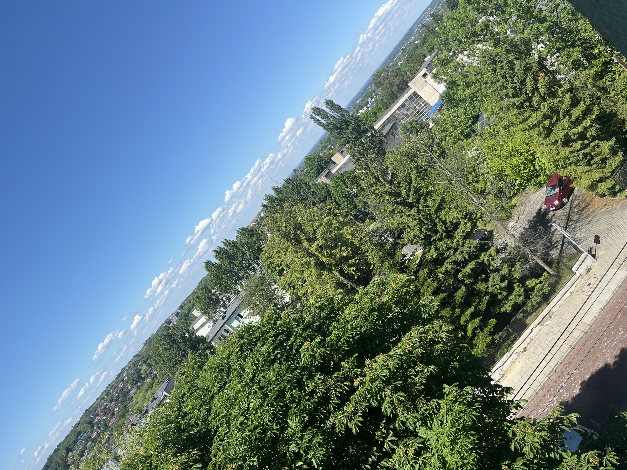This image captures a high-angle, downward-looking view of a verdant landscape within the city of Unknown, Unknown, under a bright, clear blue sky with scattered white cumulus clouds. The perspective is tilted, with the horizon line slanting downwards from left to right.
Dense green foliage dominates the scene, comprising a mix of large-leafed deciduous trees and conifers. In the immediate foreground on the left, a thick canopy of broad-leafed trees or vines with small clusters of buds or early fruits is prominent. Throughout the mid-ground, numerous trees of varying heights and shades of green are interspersed with buildings.
Several structures are visible amidst the trees. In the upper left quadrant, a residential area with numerous red-roofed houses is seen on a distant hillside. Closer in the mid-ground, various buildings with flat or low-pitched roofs, some light-colored and others with darker details, are partially obscured by the tree cover. One notable structure on the right-midground features a large, multi-paned glass facade.
At the bottom of the image, a section of paved ground is visible. It consists of a reddish-brown brick pathway laid in a herringbone pattern adjacent to a lighter gray paved sidewalk or road segment. A black metal fence or railing runs along a portion of this path. A red, compact car is parked on a paved surface towards the lower right. Strong sunlight illuminates the scene, casting distinct shadows from the trees and structures. No individuals are present in the image.