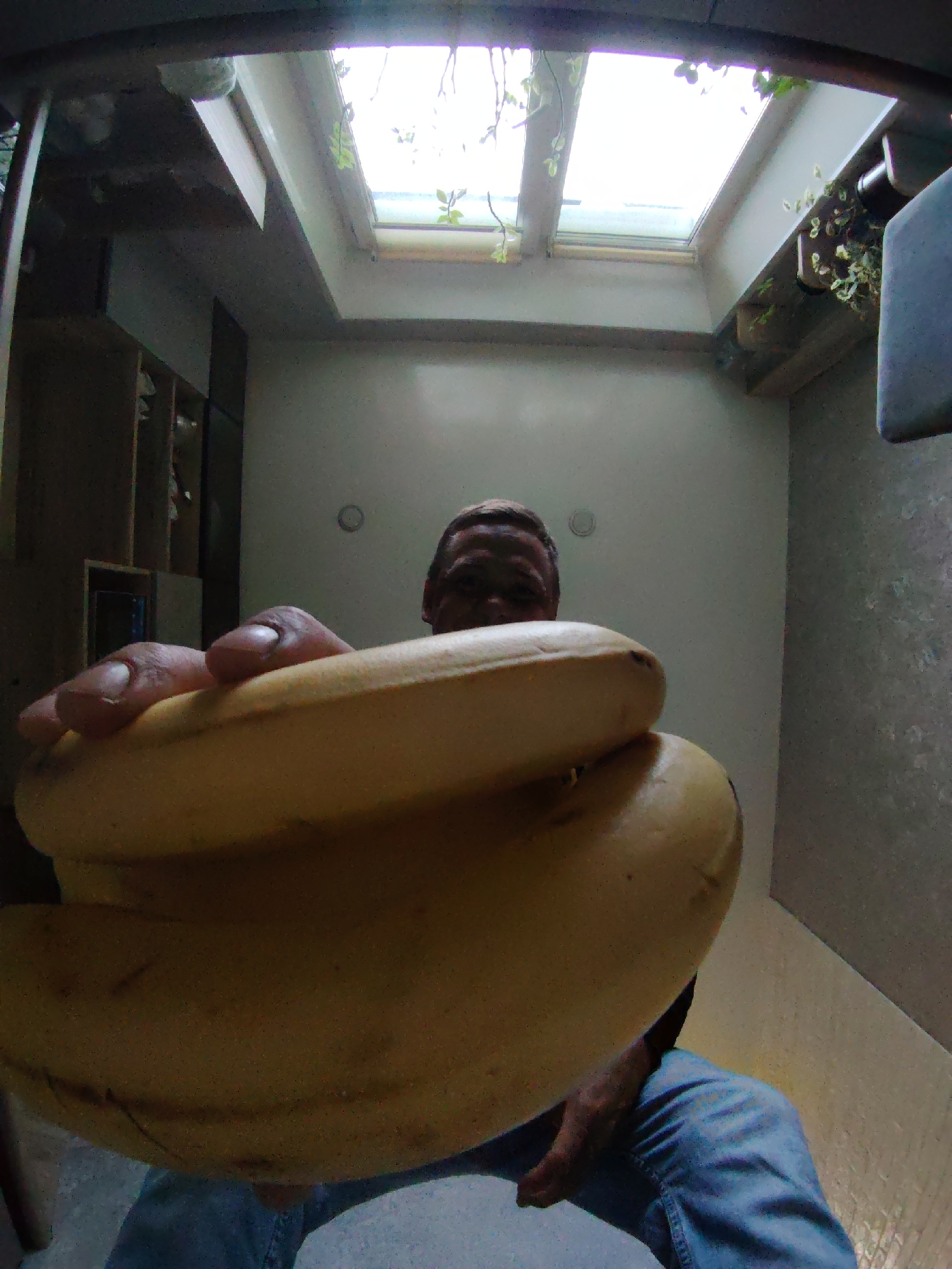 A person is holding a bunch of bananas in front of the camera. The bananas are yellow and ripe. The person is wearing blue jeans. The background is a room with a skylight and some plants. The image appears to be taken in Russia.