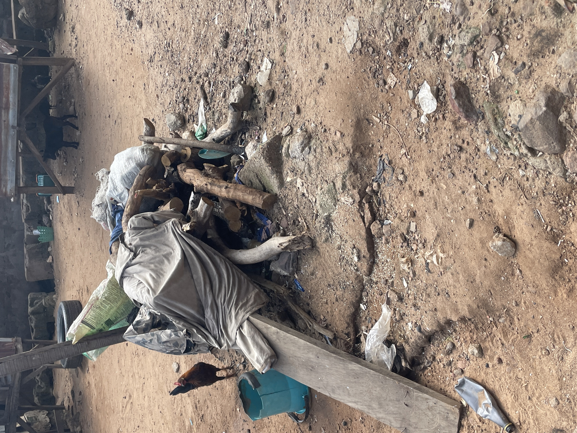 In Lokoja, Nigeria, a weathered scene unfolds in a dusty, unpaved area, likely a backyard or alley. A pile of debris dominates the center, featuring a large bundle of fabric draped over logs of wood. Scattered around are remnants of human activity: a discarded plastic bottle, plastic bags, and what appears to be a broken crate. A rooster stands alert near a blue plastic bucket, its presence adding a touch of life to the otherwise static environment. In the background, a dark-colored animal, possibly a dog, shelters under a makeshift wooden structure, adding to the impression of a less-than-pristine urban fringe. The ground is a mix of reddish-brown soil, small stones, and embedded rocks, indicative of a dry, possibly arid, climate. The overall impression is one of neglect and the accumulation of discarded items in a utilitarian outdoor space.