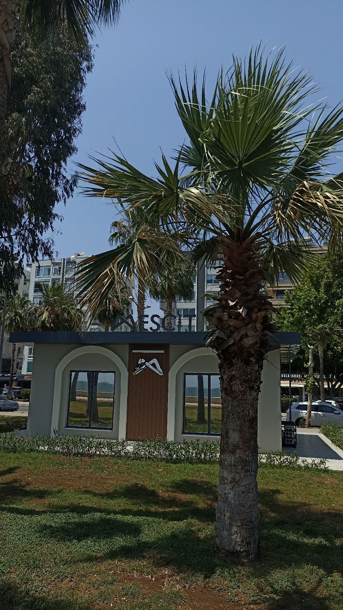 A bright, sunlit outdoor scene in Yenişehir, Turkey, features a modern, single-story building partially obscured by a prominent palm tree in the foreground. The weather is clear and sunny, indicated by the vivid blue sky and sharp shadows cast by the trees on the green grass below.
The small building has a light-colored, possibly stucco facade, with a dark roofline. It features two arched recesses, likely housing windows or doorways, and a central wooden panel. A white, stylized logo on the wooden panel depicts a human figure in a dynamic pose, possibly swimming or diving. Above the building's entrance, a sign is partially visible, displaying the letters "AESCH" in a dark, bold font.
The windows of the building reflect a serene body of water, likely the sea, and distant hills or mountains, suggesting a coastal location. In the background, behind the trees and building, multiple modern, multi-story buildings with balconies are visible. A street runs in front of these buildings, with a few cars parked along it. Other trees, including more palm trees, are scattered throughout the background. A partially visible sign on the right-hand side contains some Turkish words, though it is largely unreadable. The foreground is covered in green grass with some drier patches, exhibiting strong shadows from the surrounding foliage. No specific human activity is taking place; the image captures a static, picturesque moment.