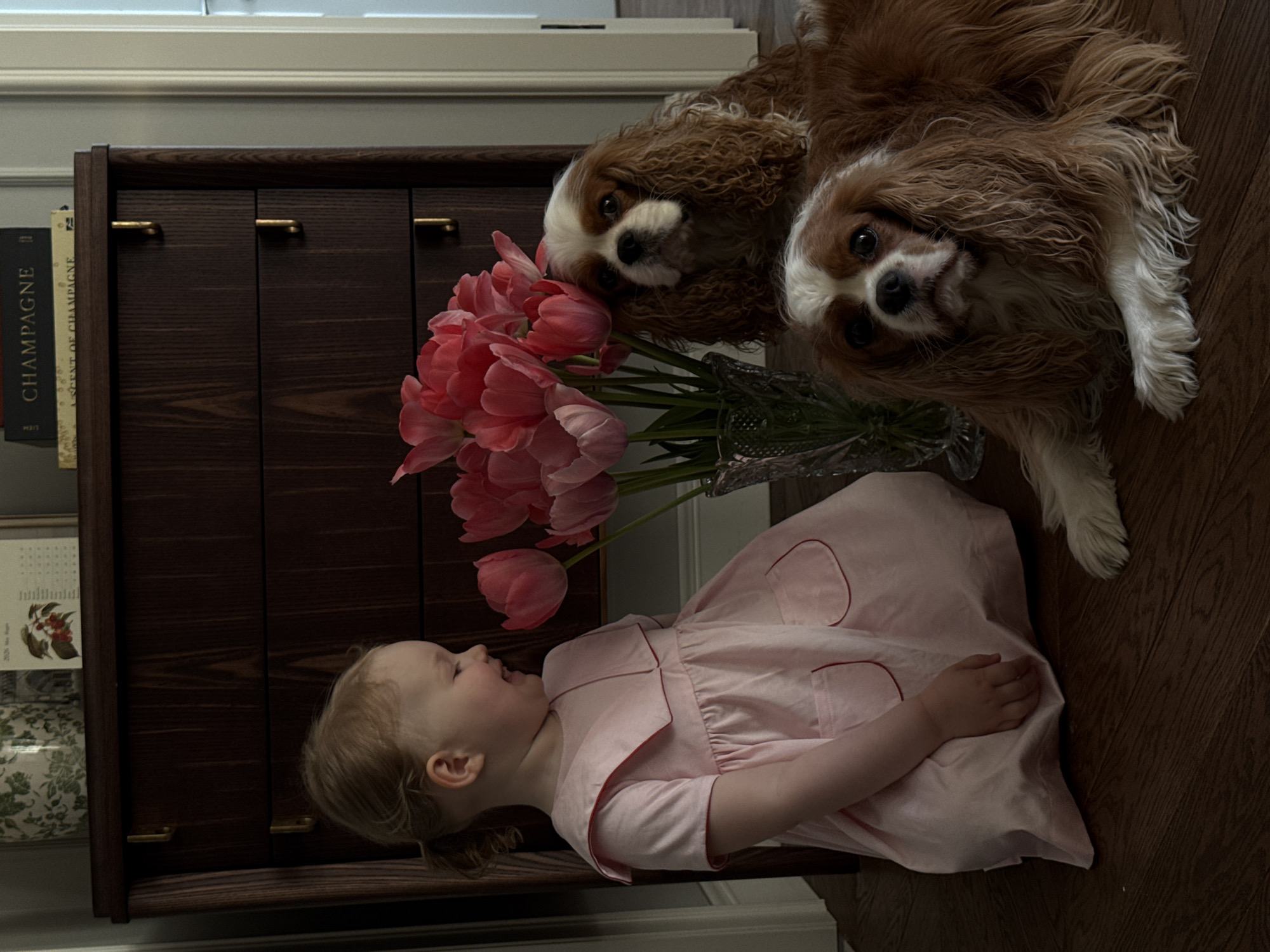 A little girl in a pink dress lies on her side next to a vase of pink tulips. Two Cavalier King Charles Spaniels are lying next to her. A dark wood cabinet is visible behind them. The location is not specified, and there is no indication it is Moscow, Russia.