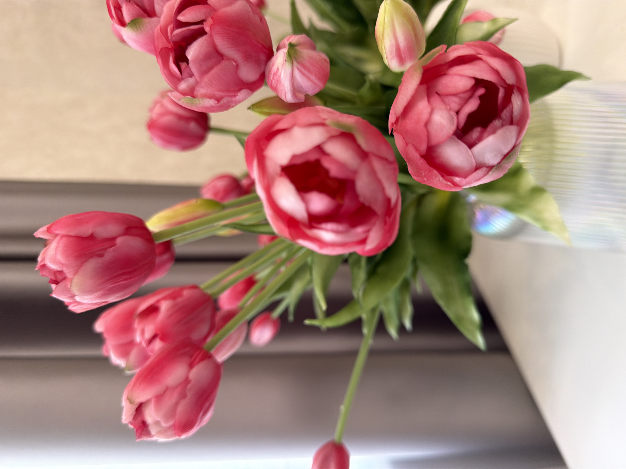 A close-up, eye-level, indoor shot shows a bouquet of vibrant pink peonies in a vase on a white surface. The peonies are in various stages of bloom, with some fully open and others still budding. The background features a blurred view of brown curtains on the left and a light beige wall on the right. The lighting is soft and natural, creating a gentle glow on the flowers. The overall scene evokes a sense of elegance and freshness. The location is Unknown, Unknown.