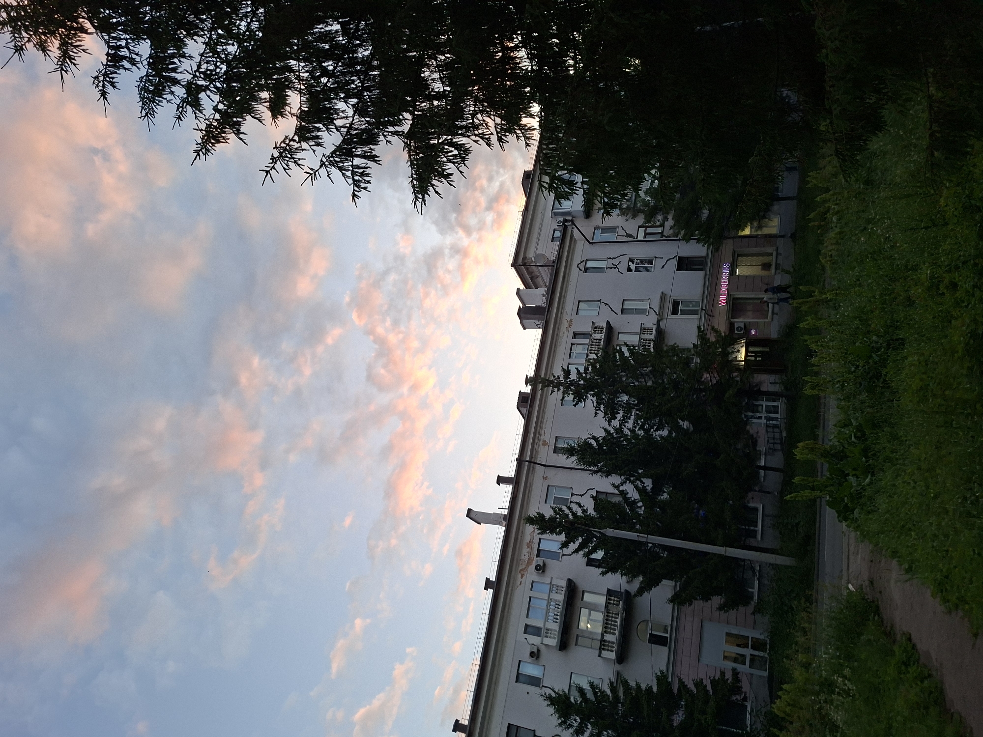 The image shows a residential building in Kazan, Russia, at dusk. The sky is filled with pink and orange clouds, indicating sunset. The building is a multi-story apartment complex with balconies. Several evergreen trees are planted in front of the building, and there is lush green grass and vegetation in the foreground. A sign with the text "WILDBERRIES" is visible on the ground floor of the building, suggesting it is a retail establishment. Two people are walking in front of the building. The scene appears to be a typical urban environment in the evening.