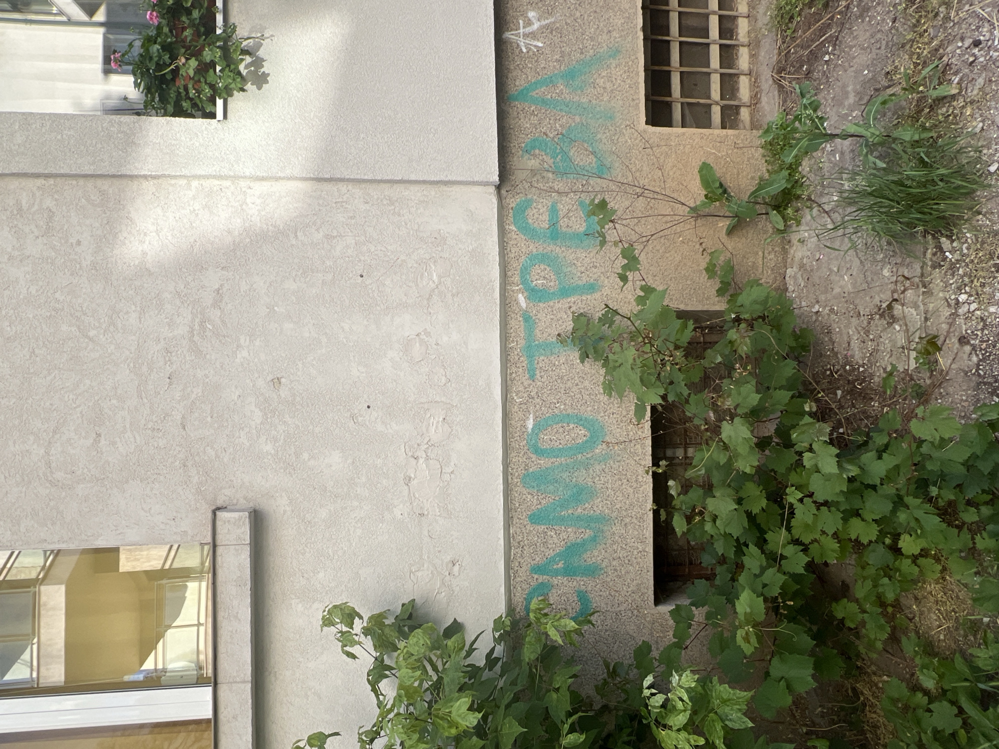 The image captures a detail of a building facade in Sofia, Bulgaria. Green graffiti, likely spray-painted, spells out "САМО ТРЕВА" (Samo treva), which translates to "Only Grass". The graffiti is located on a textured, light-colored wall, just above a row of small, barred windows. Lush green foliage, appearing to be vines and plants, encroaches from the left and bottom of the frame, partially obscuring the graffiti and windows. A small pink flower box is visible in a window on the right side of the building. The overall scene suggests an urban environment with overgrown vegetation and vandalized structures.