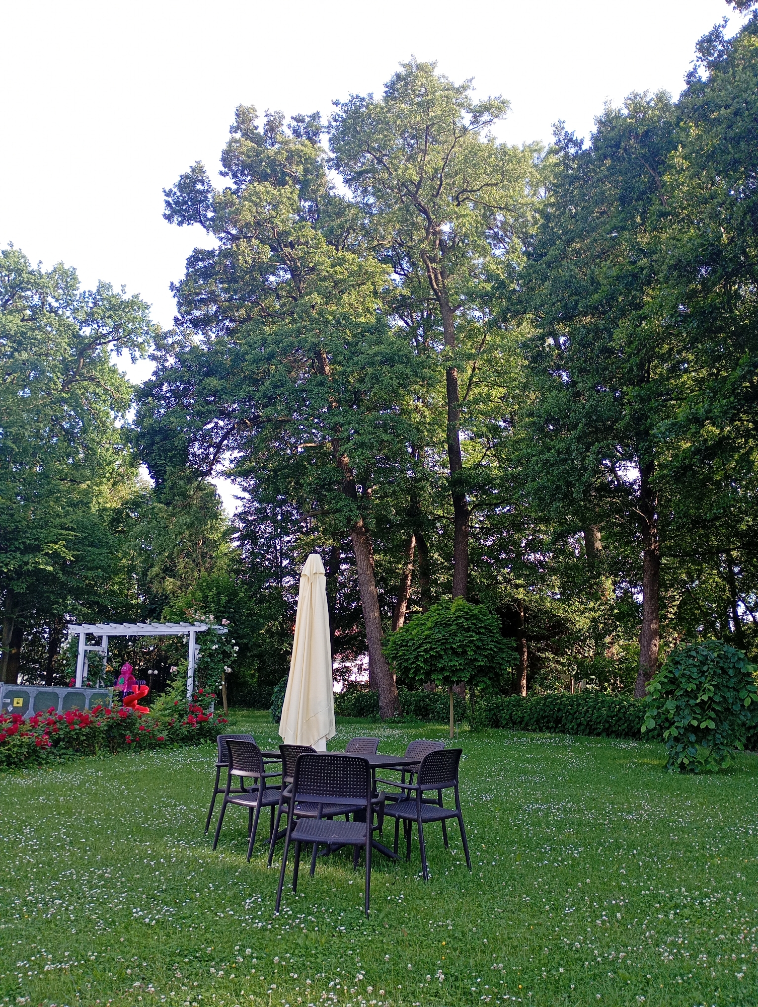 The image depicts an outdoor seating area with a table and four chairs in a lush green park. A large, closed umbrella stands next to the table. In the background, a white pergola is adorned with rose bushes and other flowering plants. Further in the distance, tall trees form a dense canopy, suggesting a wooded area. The scene is set in the city of Międzyrzecz, Poland. The overall atmosphere is serene and inviting, perfect for outdoor relaxation.