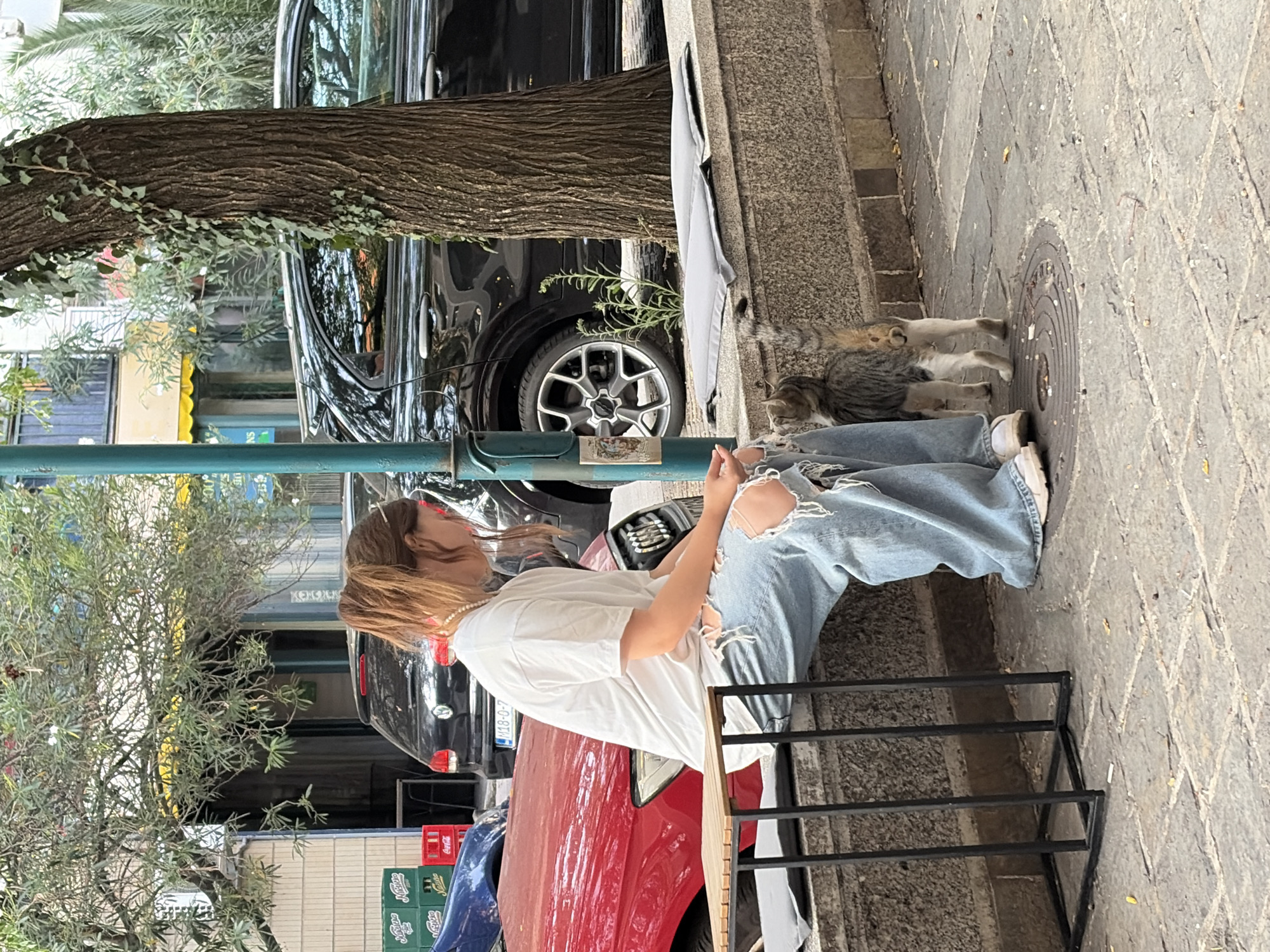 A young woman with light brown hair in a ponytail, wearing a white t-shirt and ripped light blue jeans, is sitting on a low concrete ledge next to a small black metal table. She is looking down at a short-haired cat with tabby markings, which is standing on the cobblestone sidewalk in front of her. The cat is facing the woman, and its tail is raised. Behind the woman are a red car and a black car parked on the street, with a building facade and trees in the background. The scene appears to be a street cafe or public area in Budva, Montenegro, with a large tree trunk on the right side of the frame.