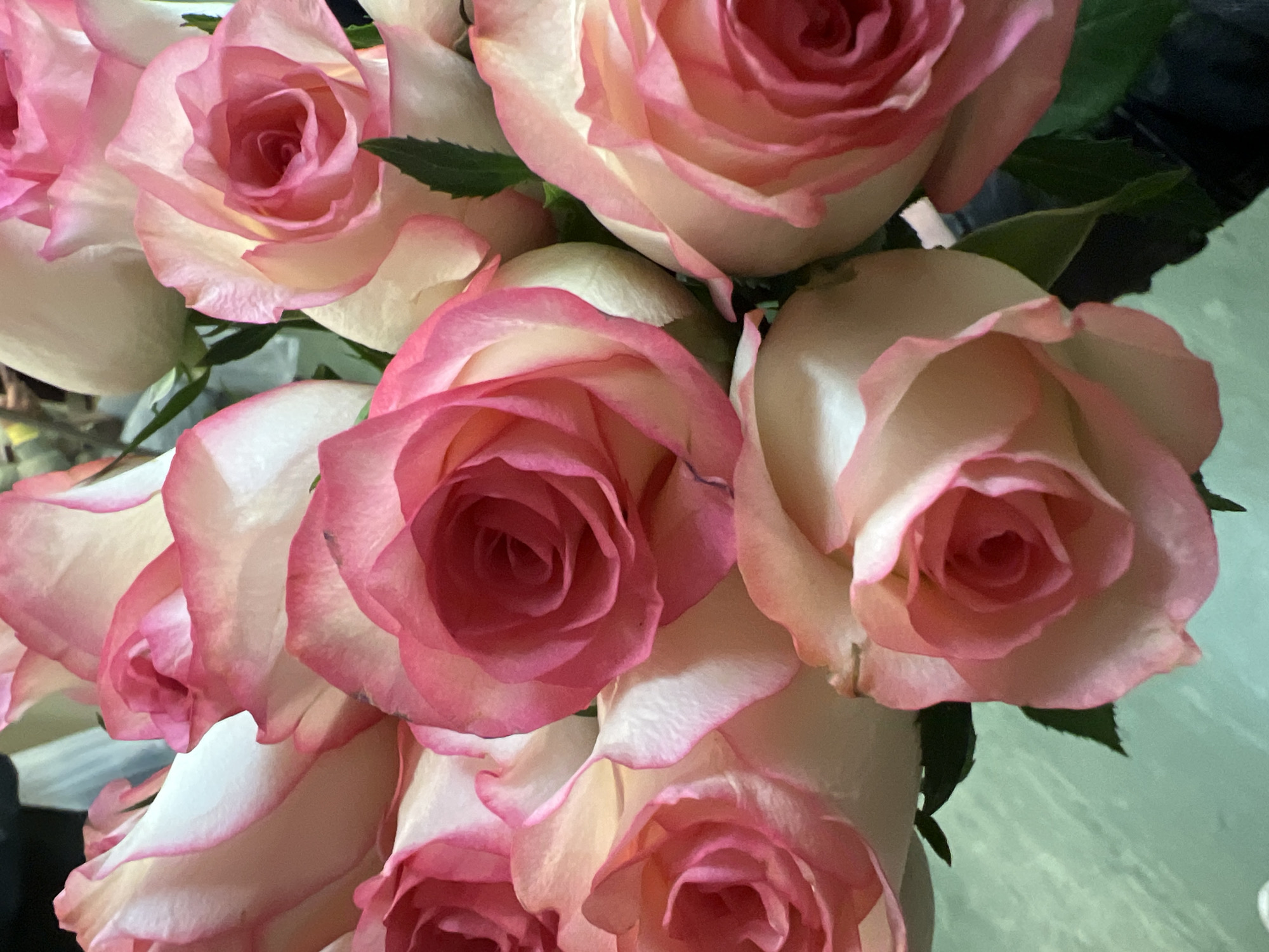 This is a close-up, top-down shot of a bouquet of pink and white roses. The roses are in various stages of bloom, with some fully open and others still tightly furled. The petals are delicate and layered, with a gradient of color from deep pink at the center to pale pink and white at the edges. Some green leaves are visible amongst the blooms. The background is blurred and appears to be a dark surface with a hint of a muted green or teal color, possibly a table or a wall. The lighting is soft and natural, highlighting the textures and colors of the flowers. There are no people or discernible environmental features that would indicate a specific location in a city.
