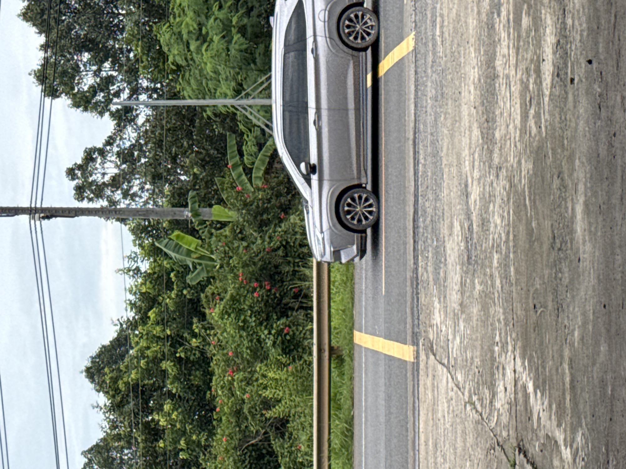 The image shows a silver SUV driving on a two-lane road in Phú Quý 2, Vietnam. The car is in the right lane, with a yellow line marking the lane division. To the left of the road, there is a guardrail and lush green vegetation, including trees and bushes with red flowers. In the background, there are power lines and utility poles. The sky is overcast. The foreground shows a concrete surface with some cracks and water marks.