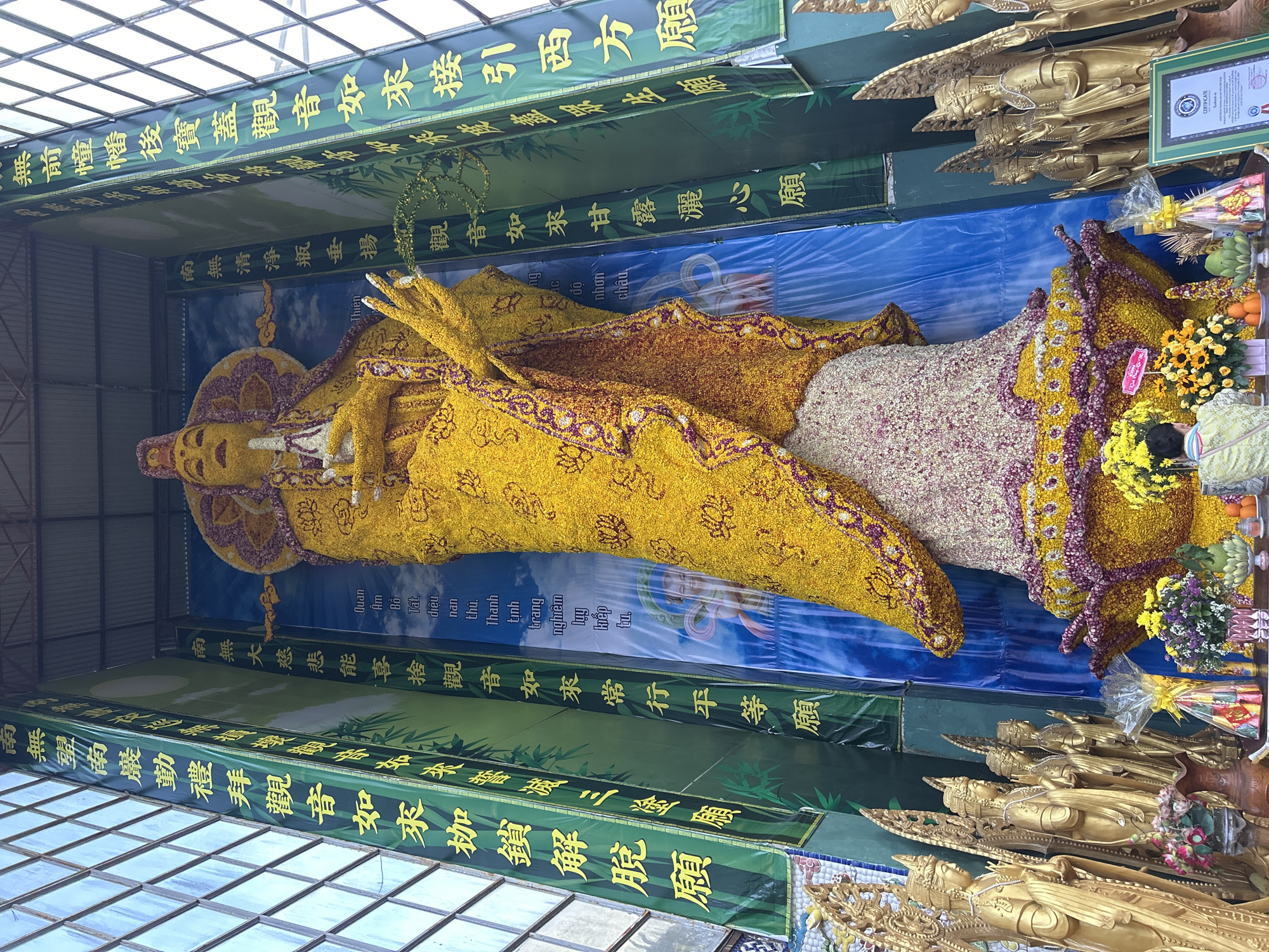 This image captures a vibrant religious display featuring a colossal reclining statue of what appears to be the Bodhisattva Guanyin (Quan Âm in Vietnamese), located in Xuân Thành, Vietnam. The statue is intricately crafted from countless small flowers, predominantly bright yellow for the body and robes, with accents of purple and white/light pink forming patterns and details. The deity is depicted in a serene, reclining posture, with multiple arms raised and a halo-like feature around the head.
Surrounding the central floral statue are several golden statues of Buddhas or Bodhisattvas, arranged in rows on shelves on both sides, suggesting a reverent atmosphere. In the bottom right corner, a person is visible, kneeling before offerings of fresh flowers and fruit placed at the foot of the main statue, indicating an act of worship or devotion.
The display is set indoors, beneath a transparent or translucent roof that allows natural light to illuminate the scene. Large green and blue banners serve as the backdrop and ceiling decoration. The green banners are adorned with gold Chinese characters, which are Buddhist invocations or vows. Examples include: "南無大慈悲能喜捨觀音如來常行平等願" (Namo Avalokiteshvara Buddha, who is greatly compassionate and joyful, always practicing equality) and "無前幢幡後寶蓋觀音如來接引西方願" (Namo Avalokiteshvara Buddha, who holds banners and canopies, guiding to the Western Pure Land). The blue banner behind the statue also features Vietnamese text, such as "Quan Âm Bồ Tát diệu nan thù. Thanh tịnh trang nghiêm kiếp tu." (Bodhisattva Quan Âm, wondrous and incomparable. Pure, solemn, and cultivating for eons.) and "Thien độ nhơn châu" (Heavenly salvation for humanity). A framed "CERTIFICATE" is also visible on the wall to the right. The overall scene conveys a strong sense of reverence, beauty, and devotion.