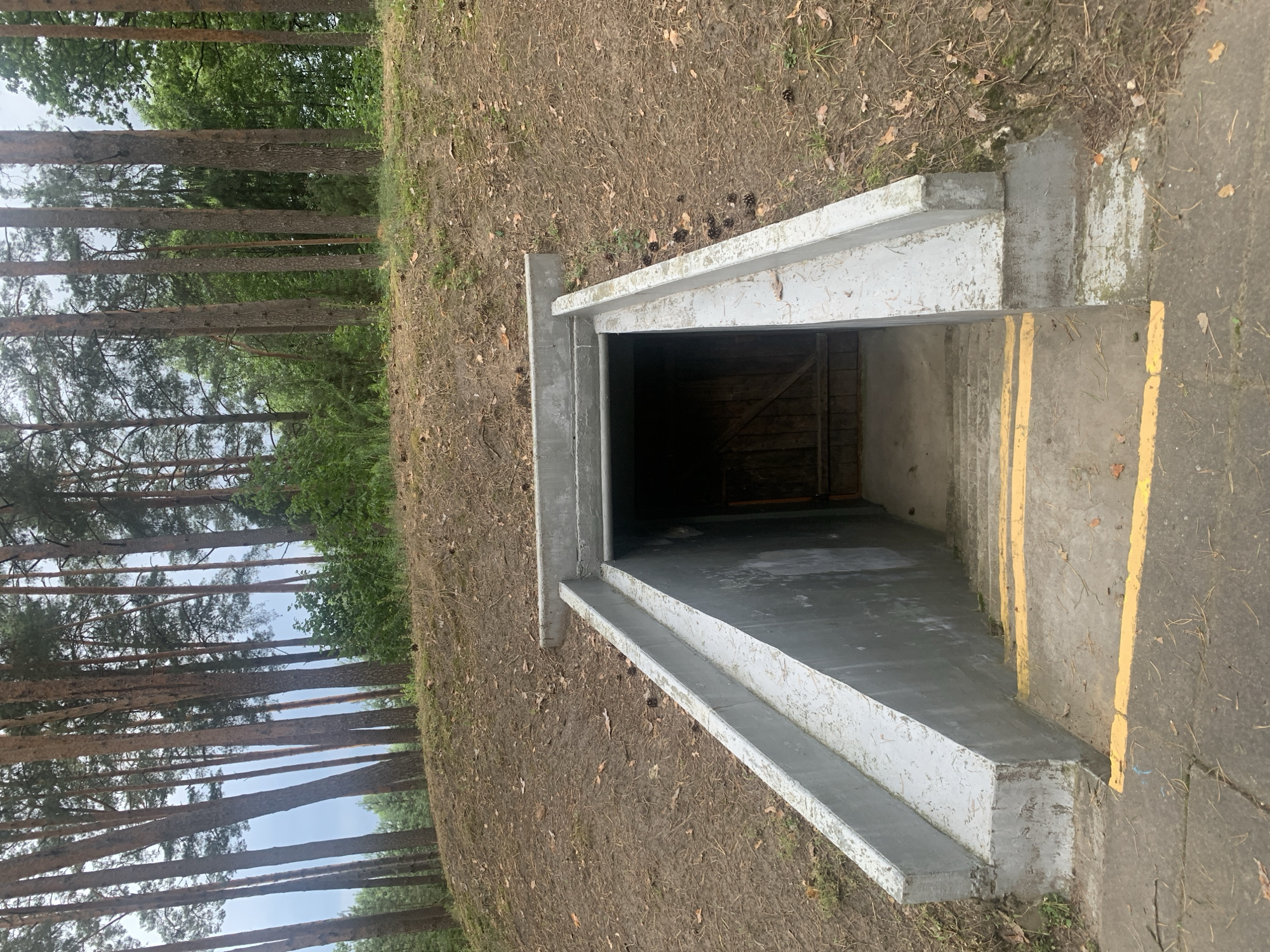 This is a medium shot, eye-level photograph of an underground bunker entrance built into a grassy, wooded hillside. The bunker entrance is constructed of concrete and features a set of stairs leading down into a dark opening. Yellow safety stripes are painted on the edges of the stairs. The hillside is covered in dry leaves, pine needles, and sparse grass. Tall pine trees are visible in the background, with a bright sky peeking through the branches. The scene is situated in a forest, likely in the vicinity of Орлеўскі сельскі Савет, Belarus. There are no people or animals present in the image.