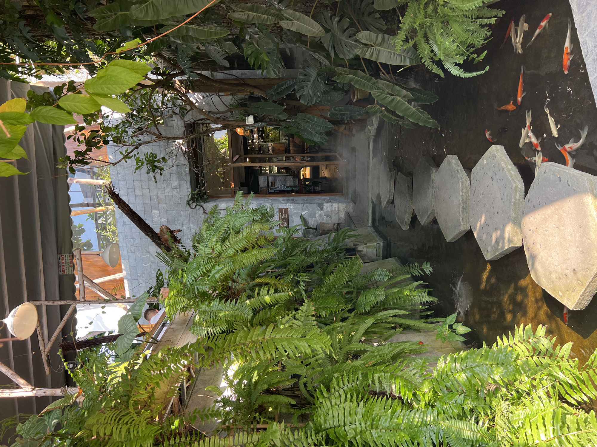 The image depicts a serene outdoor or semi-outdoor cafe or restaurant, heavily integrated with lush tropical greenery. A central feature is a rectangular pond or water channel, across which a series of large, irregular-shaped stepping stones are placed. The pond is home to numerous vibrant Koi fish, displaying colors such as orange, white, and black.
The scene is densely populated with various plants, including abundant ferns with their distinctive fronds, and large-leafed tropical foliage that hangs overhead and lines the water's edge. To the left, a building constructed with grey, stone-tiled walls is visible, featuring large glass windows and wooden-framed doors. The interior, dimly seen through the windows, shows warm lighting, tables, and chairs, suggesting a dining or relaxation area. A security camera is mounted above the building's entrance. A person with short hair, wearing a white shirt, is seated inside the establishment, looking outwards.
The environment conveys a sense of tranquility and natural beauty, characteristic of a tropical setting. The bright, natural light indicates daytime, likely a sunny day. On a small red and white sign attached to a wooden beam on the left, the Vietnamese text "MÌNH NHẬT" and "CAFE" is visible, suggesting the name of the establishment. The location is Nha Trang, Vietnam.