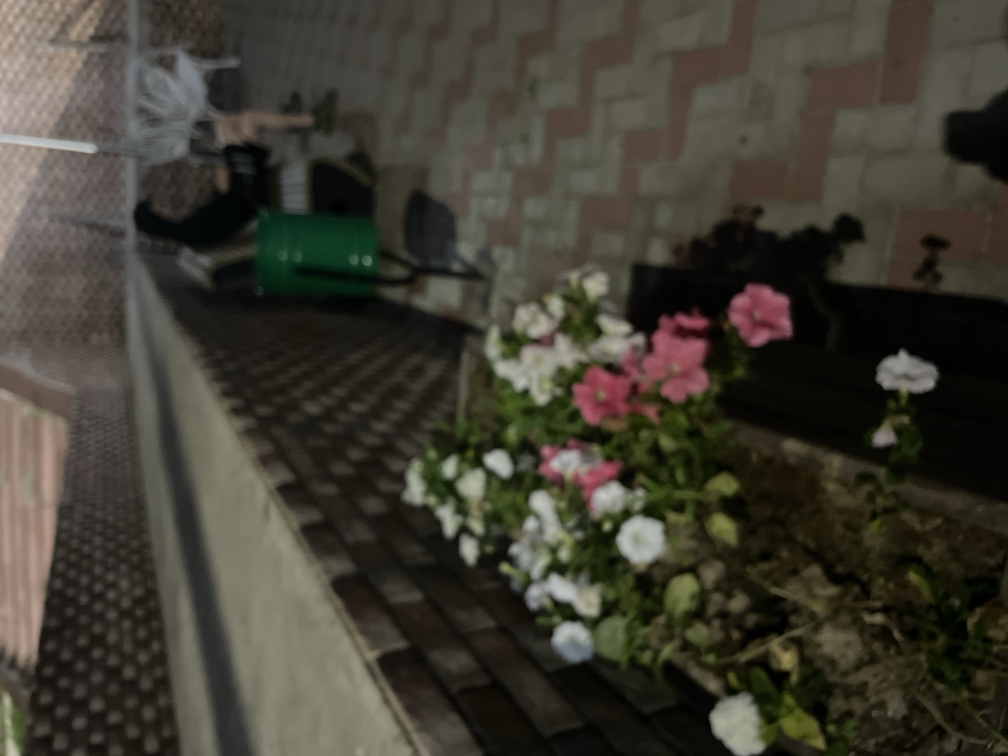 The image shows a blurred outdoor scene at night, likely in a public space in Krasnye Baki, Russia. In the foreground, there is a planter box with flowering petunias in shades of white and pink. To the left of the planter is a dark-colored bench. Further back, a person wearing a dark hooded sweatshirt and shorts is seated on a bench. Adjacent to this bench is a green trash can. In the background, there are brick walls and what appears to be a seating area with white benches. The ground is paved with reddish-brown and gray interlocking bricks. The lighting suggests it is nighttime, with artificial lights illuminating the area.