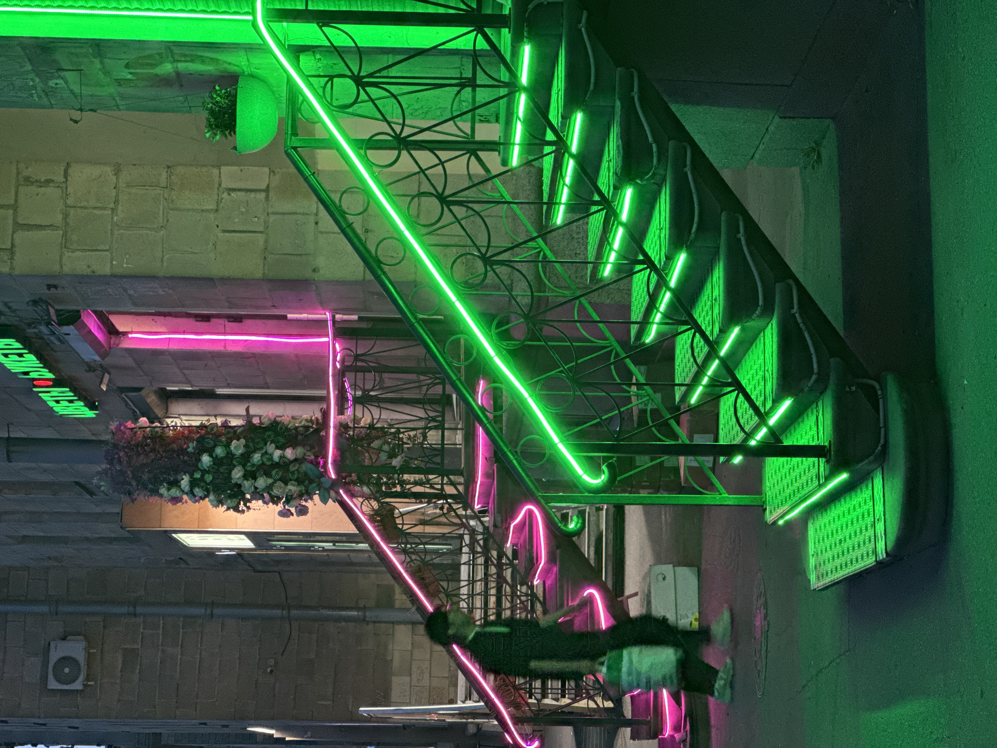 At night in Saint Petersburg, Russia, two brightly neon-lit staircases descend from stone-block buildings onto a dark street. The left staircase, constructed with metal railings, is outlined by continuous magenta neon strips along its handrails and under the edge of each step. Adjacent to this entrance is a vertical arrangement of artificial white and purplish flowers.
A lone individual, blurred by motion, is captured mid-descent on the lower portion of the left staircase, walking towards the right. They are dressed in dark attire, light-colored shoes, and carry a cylindrical, light-colored object in their right hand. A white box rests on the ground near their path.
The right staircase features elaborate black metal railings with circular motifs and is prominently illuminated by bright green neon strips along its handrail and beneath each textured metal step. A green hanging planter containing foliage is suspended from the stone wall next to this entrance. Above the right entrance, a partial green neon sign reads "ЦВЕТЫ И БУКЕТЫ" (Flowers and Bouquets). An air conditioning unit is visible on the upper section of the left building, with a vertical pipe running down its facade. The street level is dark asphalt, partially illuminated by the green light cast from the right staircase.