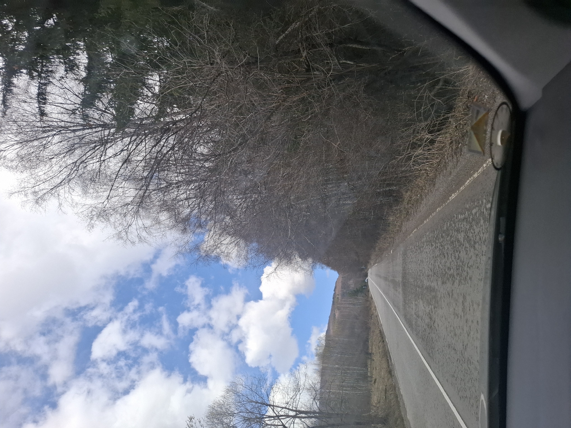The image depicts a view from inside a vehicle, possibly a car, looking out onto a road in Gintsi, Bulgaria. The road is gray asphalt with a white line marking its edge. The roadside is lined with trees, mostly bare of leaves, suggesting it is either late autumn or winter. In the distance, there is a glimpse of blue sky with white clouds through a gap in the trees. The viewpoint is from inside a vehicle, with the frame of the car visible at the edges of the image. A triangular-shaped object adhered to the inside of the vehicle is visible on the right side of the frame. The scene appears rural, with no visible signs of urban development. No people or animals are present in the image.