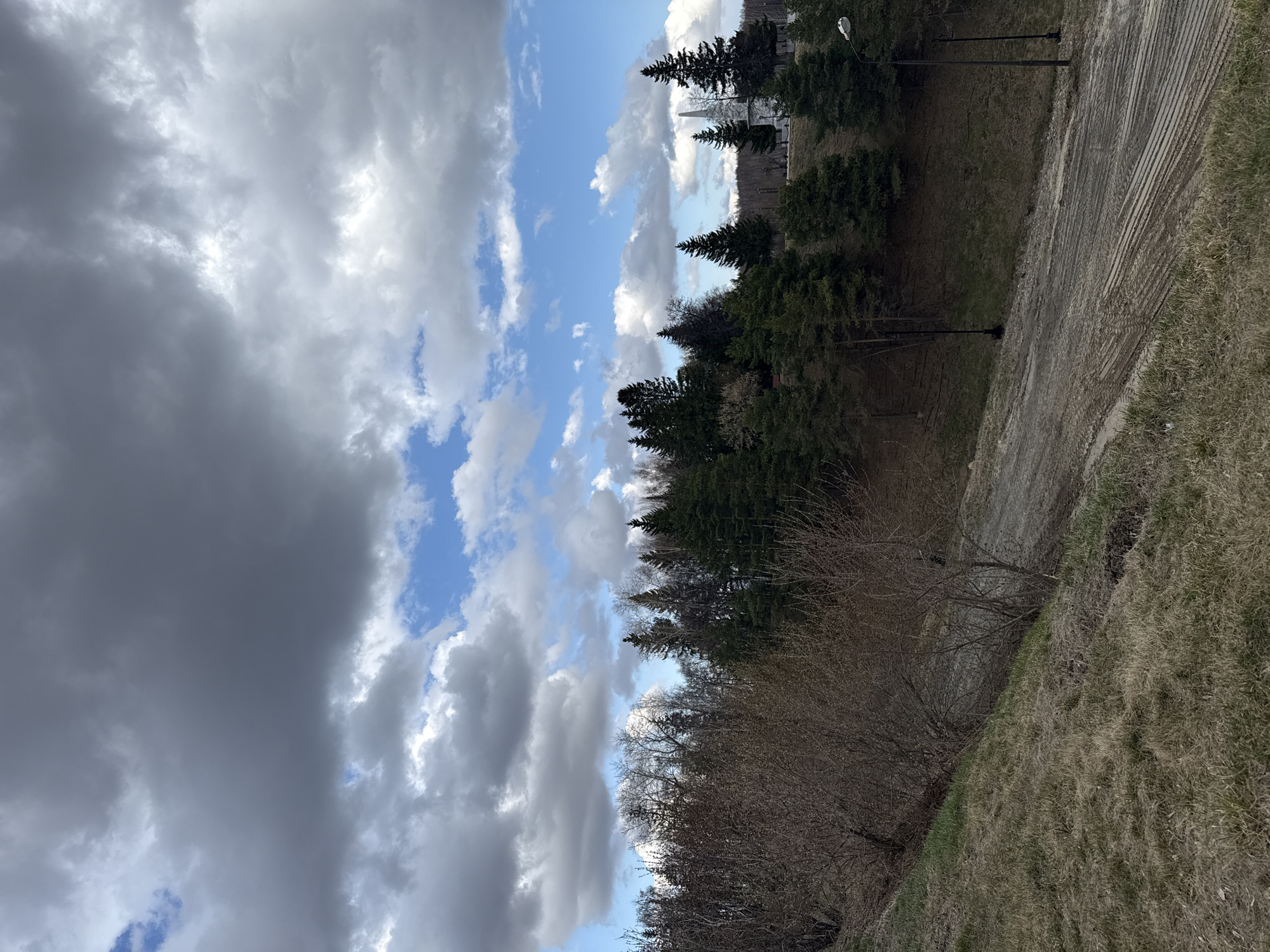 The image captures an outdoor landscape under a dynamic sky, divided horizontally by a line of vegetation. The upper portion of the frame is dominated by a dramatic sky, featuring heavy, dark grey clouds on the left transitioning to bright, white cumulus clouds against patches of clear blue sky on the right.
A dense band of dark green coniferous trees, likely firs or spruces, stretches across the mid-ground. In front of these, a layer of bare, deciduous trees and bushes suggests a seasonal state of early spring or late autumn. The foreground consists of sloping terrain covered predominantly in dry, brown grass with some areas of greener growth. A light-colored, unpaved path with distinct tire tracks runs diagonally from the middle-right towards the bottom-right. Two dark street lamps are visible along this path, indicating an established outdoor area. In the far distance, behind the coniferous trees, a light-colored building or monument with a distinctive spire can be faintly discerned.
The scene depicts daytime with mixed weather conditions, shifting from heavily overcast to partly sunny. There are no people or specific activities taking place. No visible text is present. The landscape elements, particularly the types of trees and grass, align with a temperate climate, consistent with the given location context of Tobolsk, Russia, where such natural settings and historic structures are common.