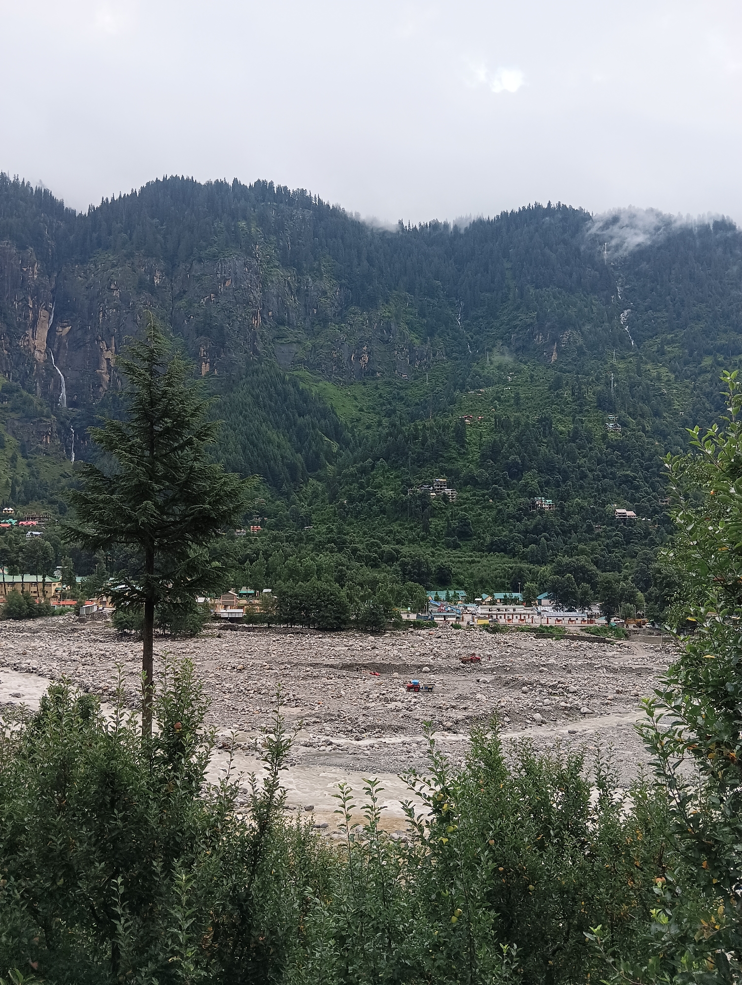 This image depicts a wide, rocky riverbed in the foreground, with a turbulent, silty river flowing through it. Dense green foliage, including a prominent evergreen tree, partially obscures the view of the river and the landscape beyond. In the middle ground, a settlement is visible with several buildings and structures, some appearing to be residential or commercial. Two red tractors are present in the rocky area near the settlement, suggesting ongoing activity or construction. Behind the settlement, a steep, heavily forested mountain rises dramatically. The mountain is covered in lush green trees, and several waterfalls cascade down its rocky face. The sky is overcast and cloudy, creating a diffused light. The overall impression is of a natural, mountainous landscape with a human settlement situated near a river. This scene is located in the village of Goshal, India.