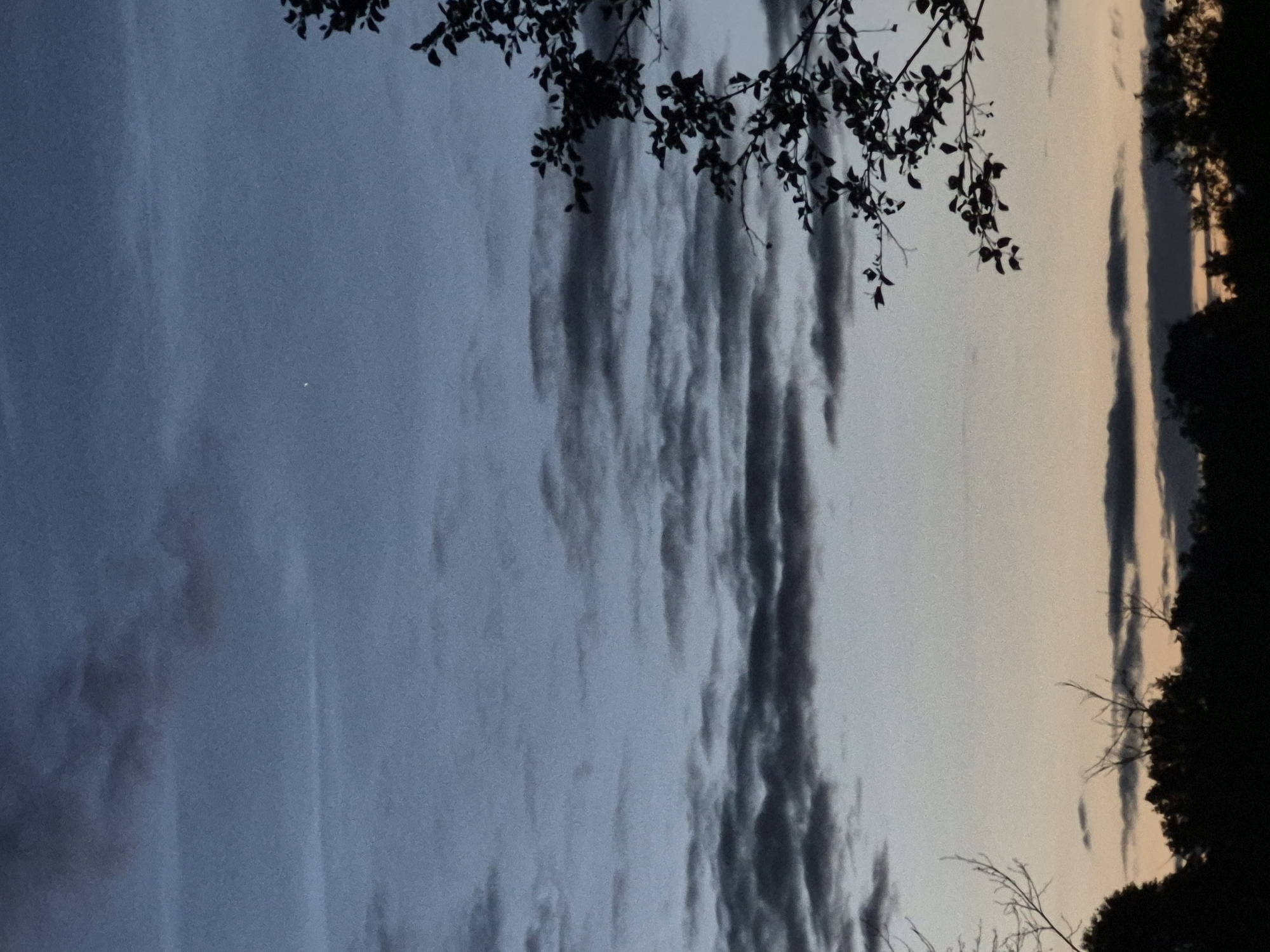 The image depicts a twilight sky over the city of Sooblase, Estonia. The sky is a gradient of deep blue at the top, transitioning to lighter blue and then to a pale orange near the horizon. Scattered dark grey clouds are visible across the sky. In the upper right quadrant, a small, bright point of light, likely a star or planet, is discernible. A silhouetted tree with dark leaves and branches is positioned on the right side of the frame, extending into the sky. The lower portion of the image shows the dark silhouettes of trees and foliage against the faint glow of the horizon, suggesting a rural or suburban edge of the city. No people or discernible actions are present in the scene.