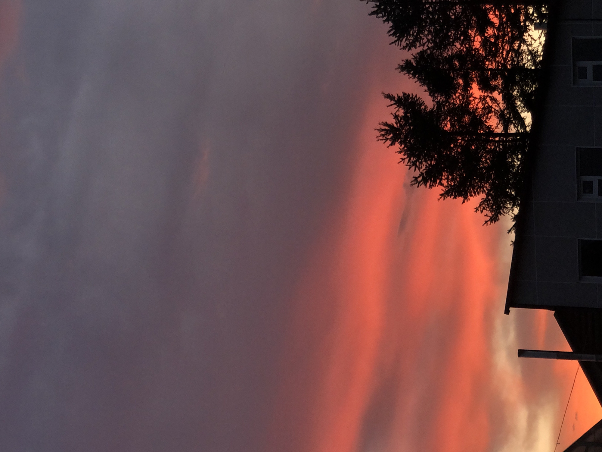 A twilight view of a residential building and silhouetted trees against a vibrant sunset sky. The sky displays a gradient of colors, with deep purples at the top transitioning to fiery oranges and reds near the horizon. A part of a building's roofline is visible in the foreground, with a metal chimney pipe extending upwards. Several evergreen trees are silhouetted against the brightly colored sky. The scene appears to be in a residential area of Petropavlovsk-Kamchatsky, Russia, given the architecture and prevalent evergreen vegetation.