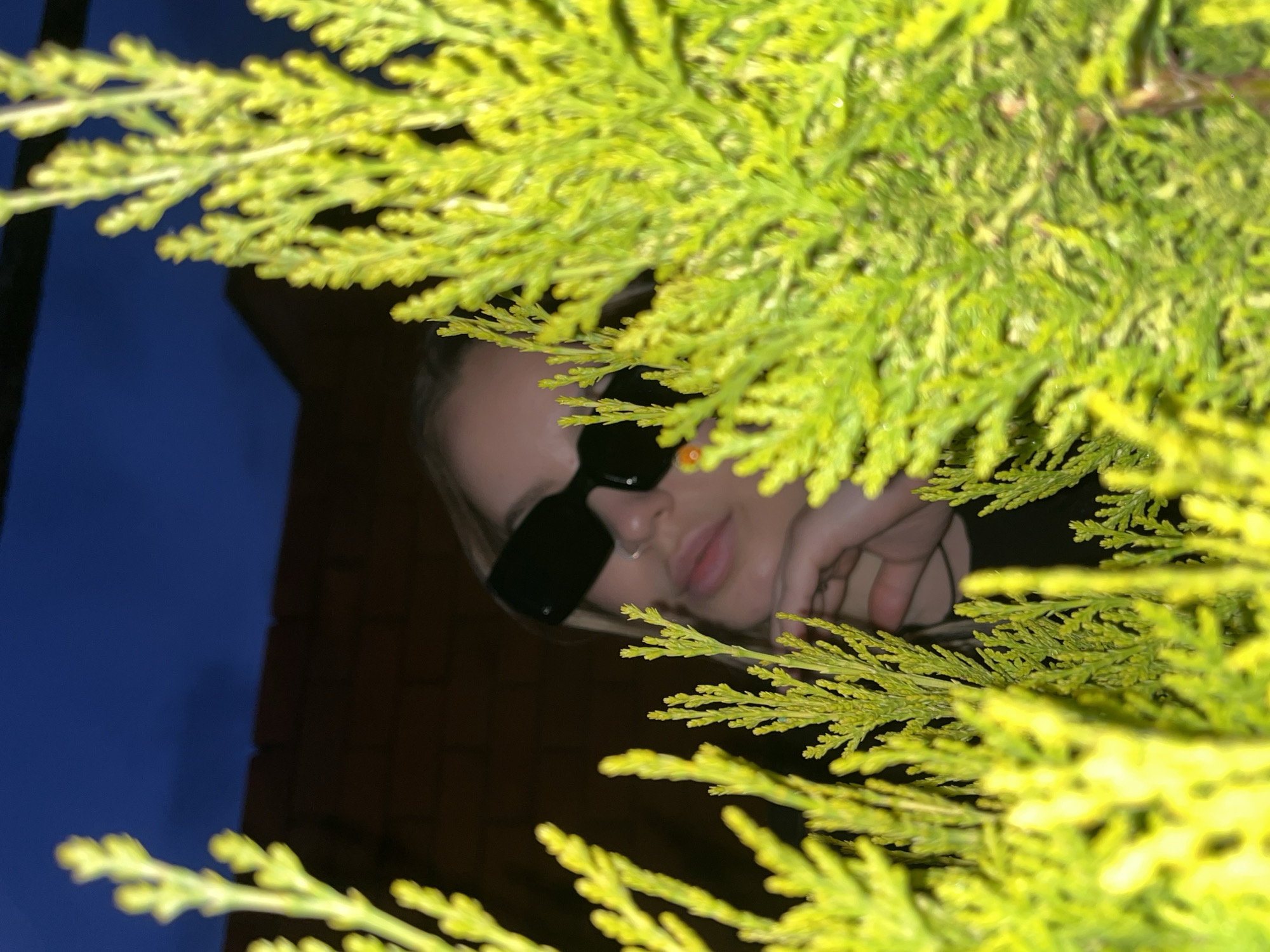 In Novopokrovskaya, Russia, a person wearing black sunglasses is partially obscured by vibrant green foliage. The background features a dark brick wall and a deep blue sky. The person is looking downwards, with their hand resting on their chin. The overall impression is of a candid moment captured amidst natural elements and urban structures.
