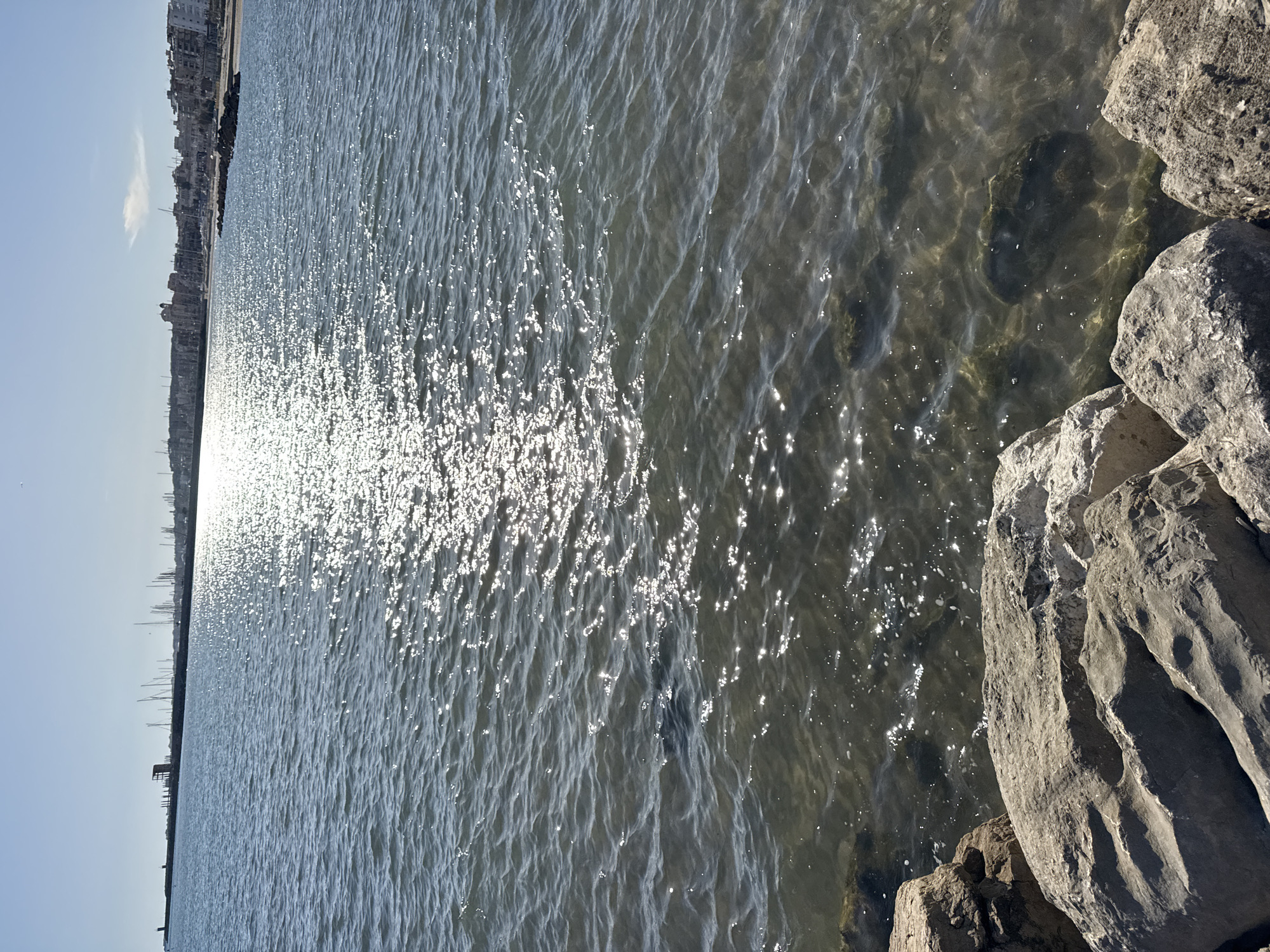 The image displays a sunlit coastal scene in Nettuno, Italy, overlooking a body of water, likely the sea. The perspective is from a shoreline, with large, rugged rocks occupying the right side of the frame, forming a natural or man-made edge to the water. These rocks exhibit varied textures and shadows, indicating strong, direct sunlight.
The main subject is the water, which stretches across the majority of the image. Its surface is covered with gentle ripples, and a significant portion, particularly towards the center and left, sparkles intensely with reflections of the sun, creating bright, glinting patches. Closer to the rocky edge, the water appears clearer and shallower, allowing glimpses of submerged rocks and the seabed below, suggesting a relatively clean and transparent body of water.
In the far distance, along the left horizon, a cityscape or town is visible, characterized by a continuous line of buildings under a clear, bright blue sky. Below the distant buildings, several thin, dark vertical structures can be observed, possibly indicating piers, poles, or masts of boats anchored in a harbor.
The scene depicts a clear, sunny day, likely during late morning or early afternoon given the position and intensity of the sun's reflection on the water. The overall atmosphere is peaceful and bright. There are no people or discernible text visible in the image.