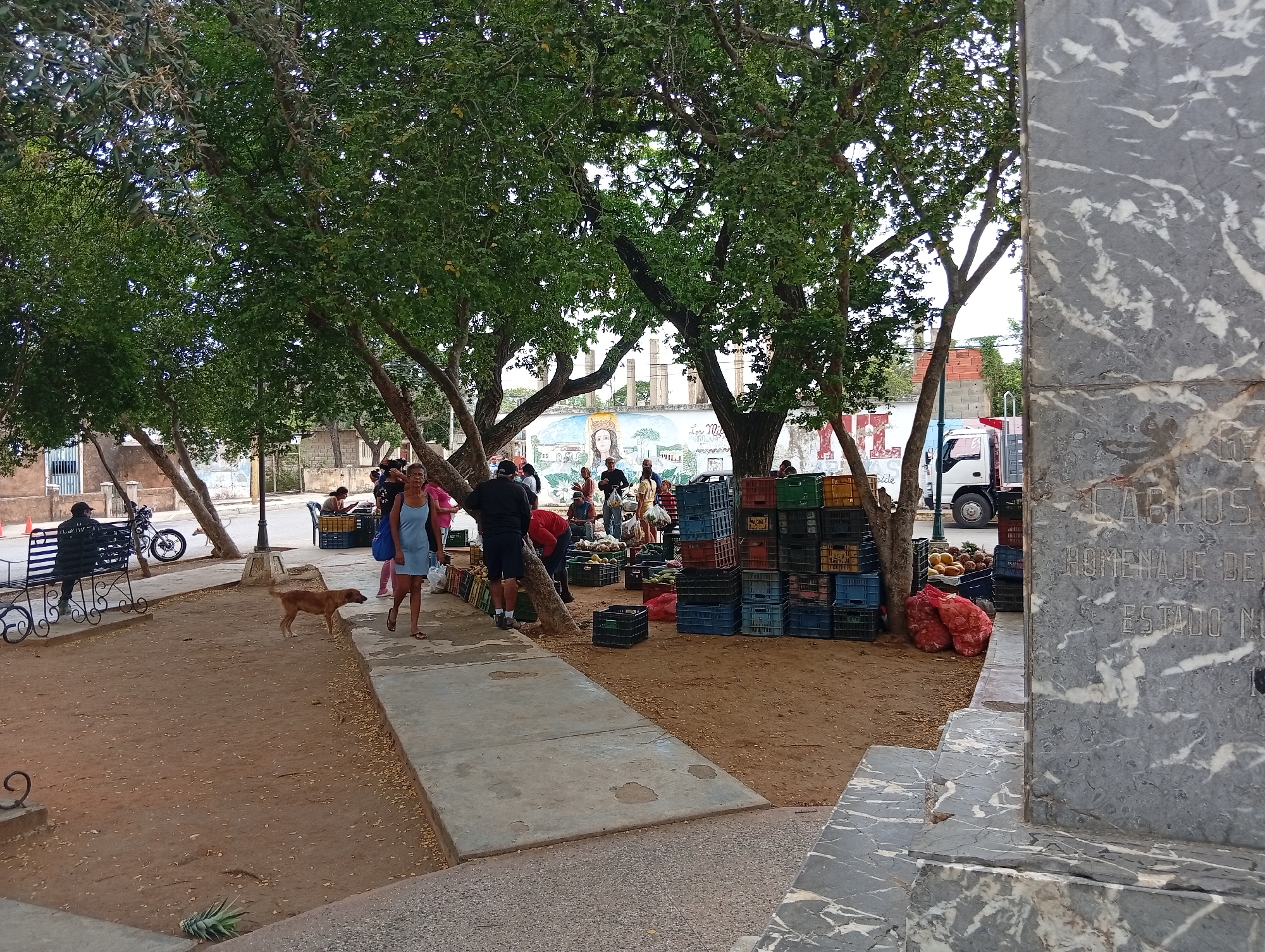 A medium shot captures an outdoor market scene in Juan Griego, Venezuela, under the dappled shade of large trees. In the foreground, a concrete walkway leads into a dusty, reddish-brown open area where a market is set up. To the right, a large, grey marble monument with inscribed text is partially visible.
Several people are present in the market. A woman in a light blue dress walks on the concrete path on the left, while a brown dog stands on the dirt path, looking towards the right. Further into the market, a group of people are gathered around stalls laden with produce. Crates of various colors – green, blue, and yellow – are stacked high, holding fruits and vegetables. Two red mesh bags, possibly containing produce, are placed on the ground near the stacks of crates. A white truck with a red platform is parked in the background, suggesting delivery or transport of goods.
The environment is characterized by the presence of mature trees with thick foliage, providing natural shade. The ground is primarily dirt, with scattered leaves and debris. In the far background, a mural or painted wall with depictions of people and landscapes is visible. The overall impression is that of a lively, local marketplace.