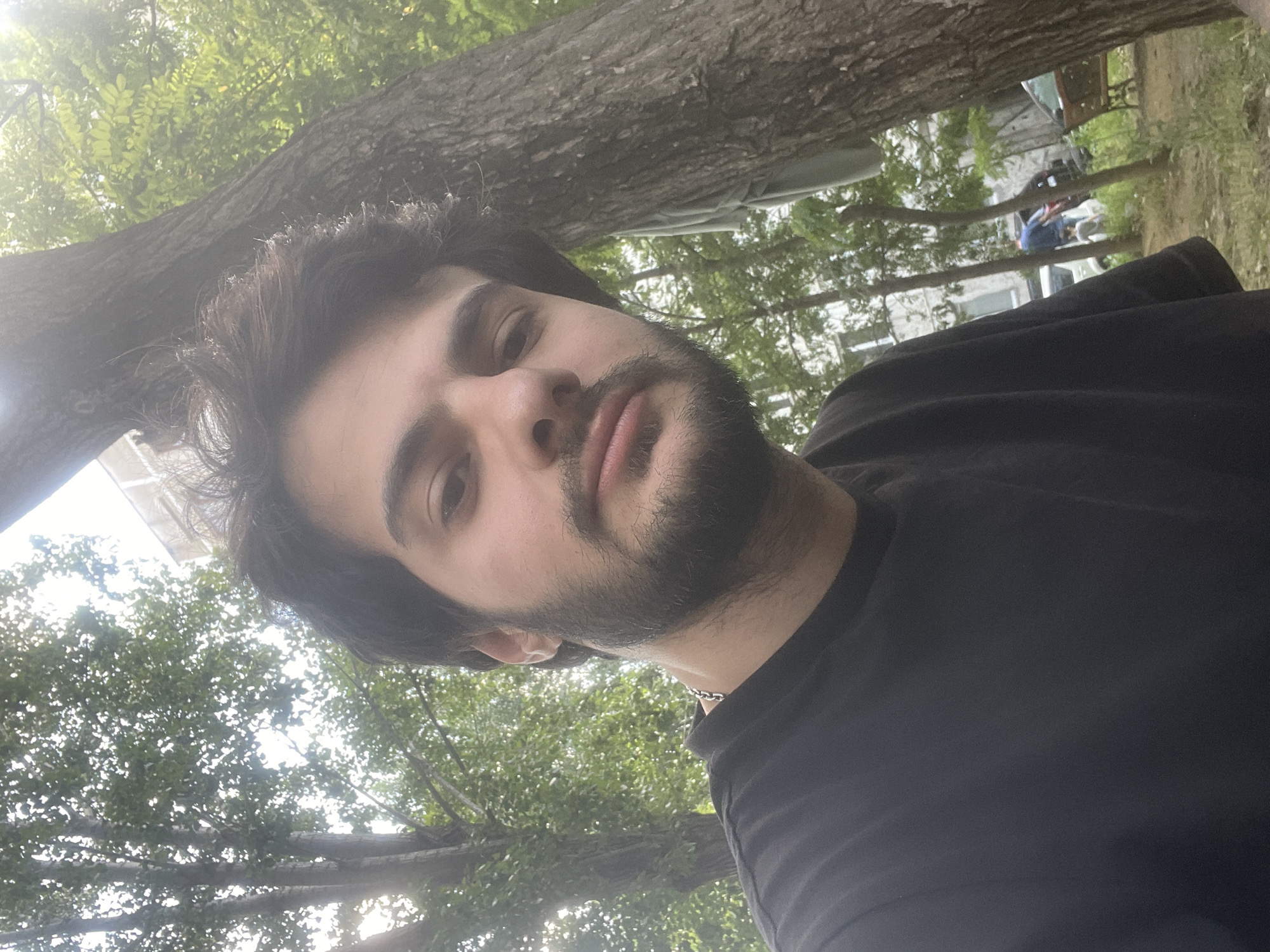 A person is taking a selfie outdoors, with a tree trunk prominently in the foreground on the right side of the frame. The person has dark hair and a beard and is wearing a black t-shirt. The background shows lush green foliage, suggesting a park or a backyard setting. Sunlight is filtering through the leaves, creating a bright and airy atmosphere. In the distance, a building and some parked cars are visible, indicating an urban environment. The overall impression is a candid snapshot of a person enjoying a moment outdoors. This scene is likely located in Tbilisi, Georgia, given the architecture and foliage commonly found in the city.