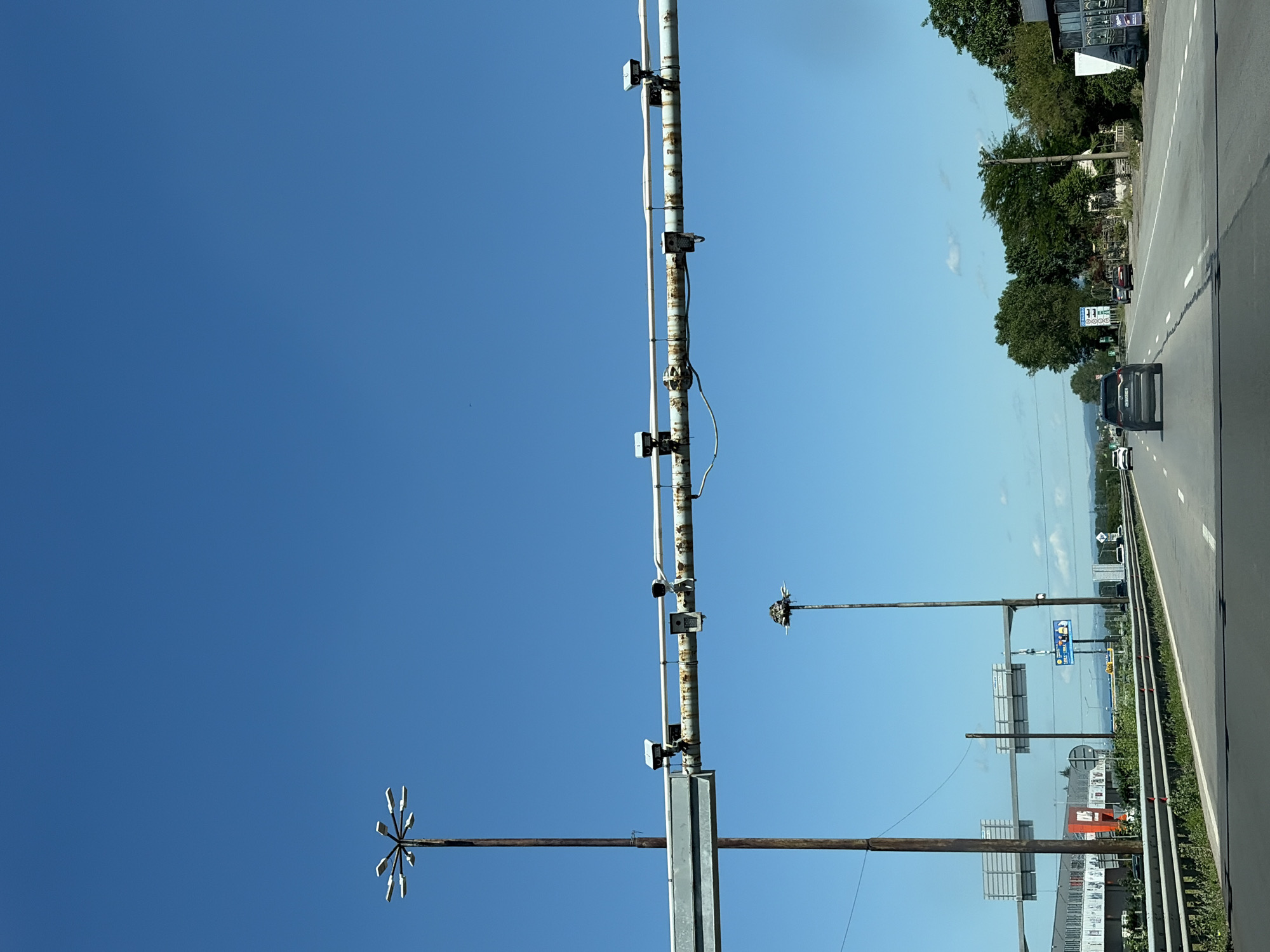 The image depicts a clear blue sky over a multi-lane highway. On the left side of the road, a tall lamp post with a starburst-shaped light fixture stands prominently. Further down the highway, another, smaller lamp post is visible, topped with what appears to be a bird's nest. A horizontal pipe structure, likely for traffic monitoring equipment, is suspended above the highway and equipped with several cameras. Cars are driving on the highway in both directions. On the right side of the highway, there are trees and buildings lining the road. The overall scene suggests a bright, sunny day on a highway infrastructure area.