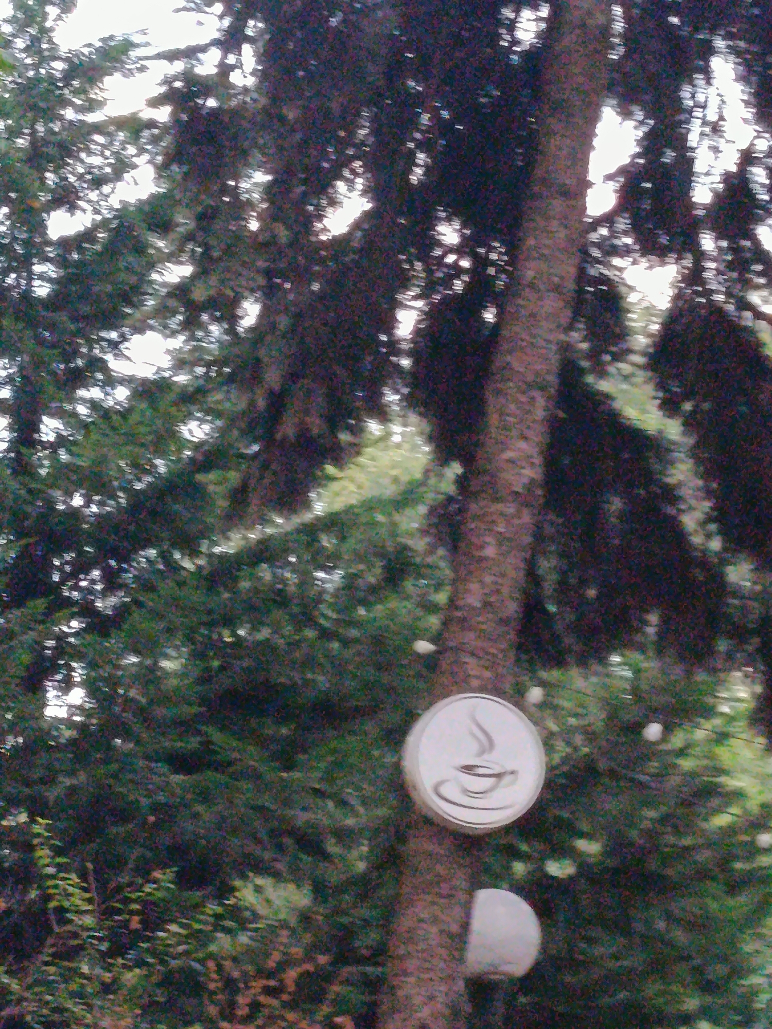 The image shows a close-up view of a tree trunk in a natural setting, likely a park or forest, with a sign depicting a cup of coffee attached to it. The sign is circular and white, with a stylized drawing of a coffee cup and steam. There is also a diffused, partially visible spherical object below the coffee cup sign. The background is filled with lush green foliage from surrounding trees, some of which are illuminated by sunlight filtering through the leaves, creating a dappled effect. The overall impression is of a serene outdoor environment. Without further information or visual cues, it is not possible to determine the specific location within Chișinău, Moldova.