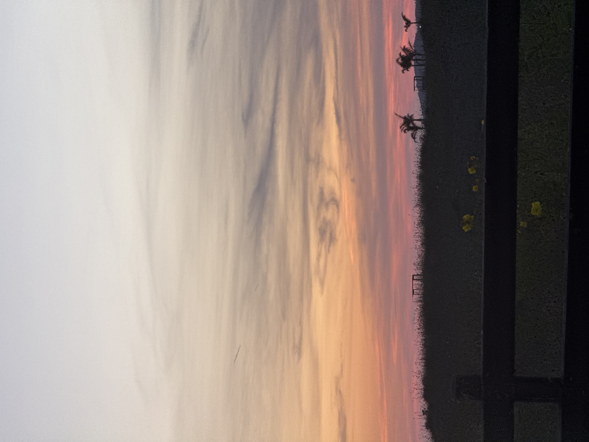 The image depicts a landscape at dusk or dawn, likely in or near Gornji Štoj, Montenegro, given the context. The sky displays a gradient of colors, transitioning from a light gray to peach and pink hues, indicative of sunrise or sunset. Wispy cloud formations are visible. In the foreground, there is a grassy area with sparse yellow flowers. Silhouettes of palm trees are visible on the horizon against the colorful sky. A dark structure, possibly a fence or the edge of a building, is present in the lower right corner of the image. The overall scene suggests a tranquil, natural setting with a prominent sky and some vegetation. There is no indication of people visible in this scene.