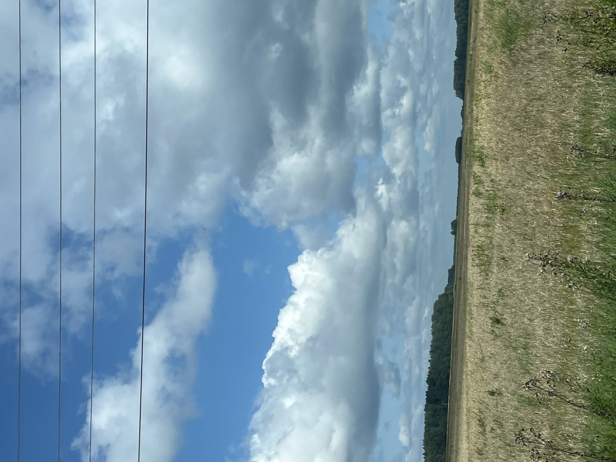 A panoramic, eye-level, landscape photograph captures a wheat field under a cloudy, blue sky. The field occupies the majority of the frame, with the sky above and a distant tree line at the horizon. Four thin, black, horizontal power lines stretch across the top of the image. The wheat appears dry and golden, with some green foliage visible in the foreground. The clouds are predominantly white and grey, with patches of blue sky peeking through. The distant tree line is a dark, dense green. The scene is quiet and appears to be a rural setting in Zavrazhnoye, Russia. There are no people or animals visible in the image. The overall mood is serene and natural.