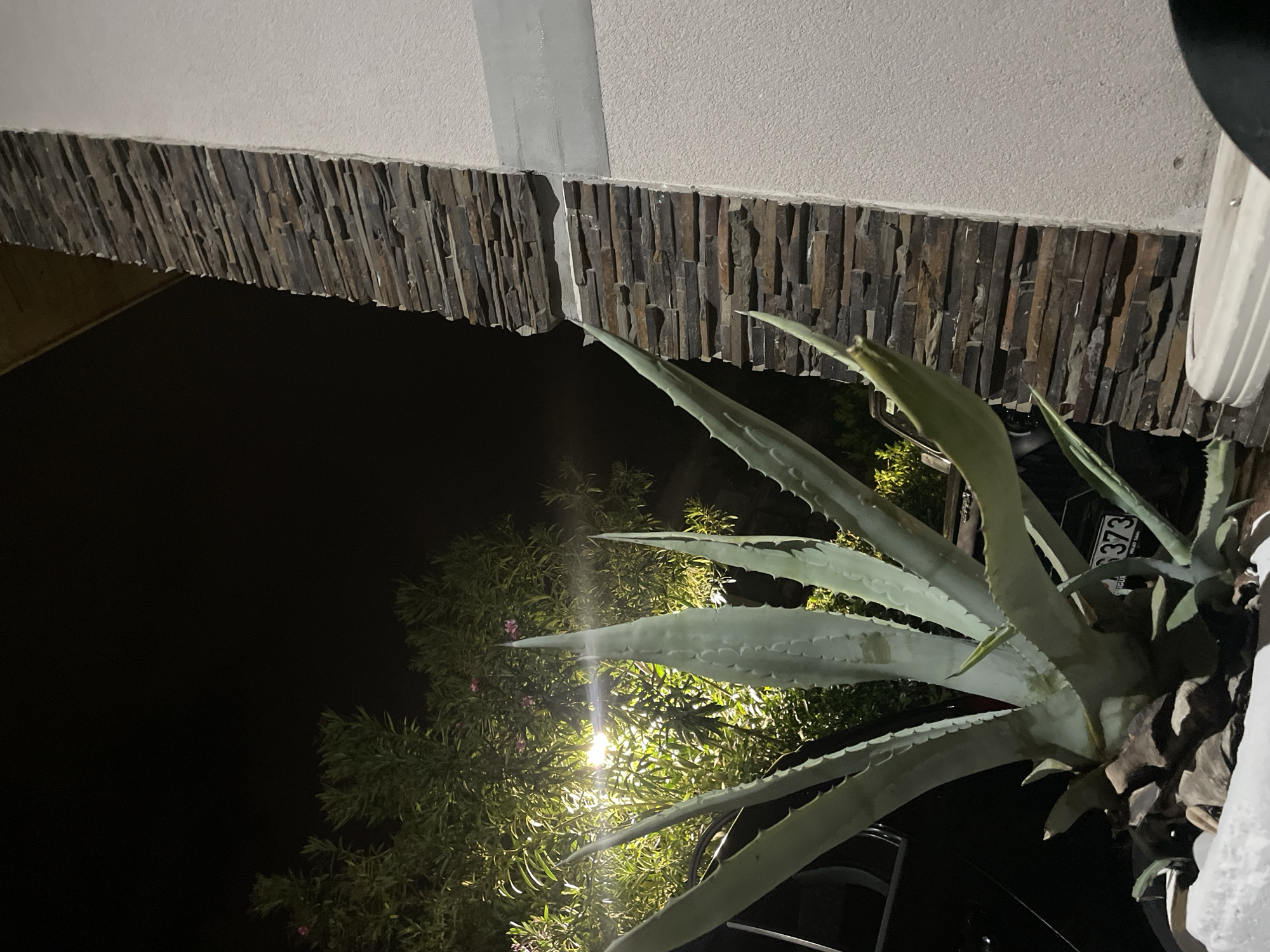 At night, a large agave plant sits in front of a building. The building has a stone veneer on its lower portion and a light-colored wall above. Behind the agave, a tree with sparse foliage is illuminated by a light source. The agave has long, pointed leaves with serrated edges. The background is dark, suggesting nighttime. A partial license plate visible near the agave is "373". The city and state are Unknown.