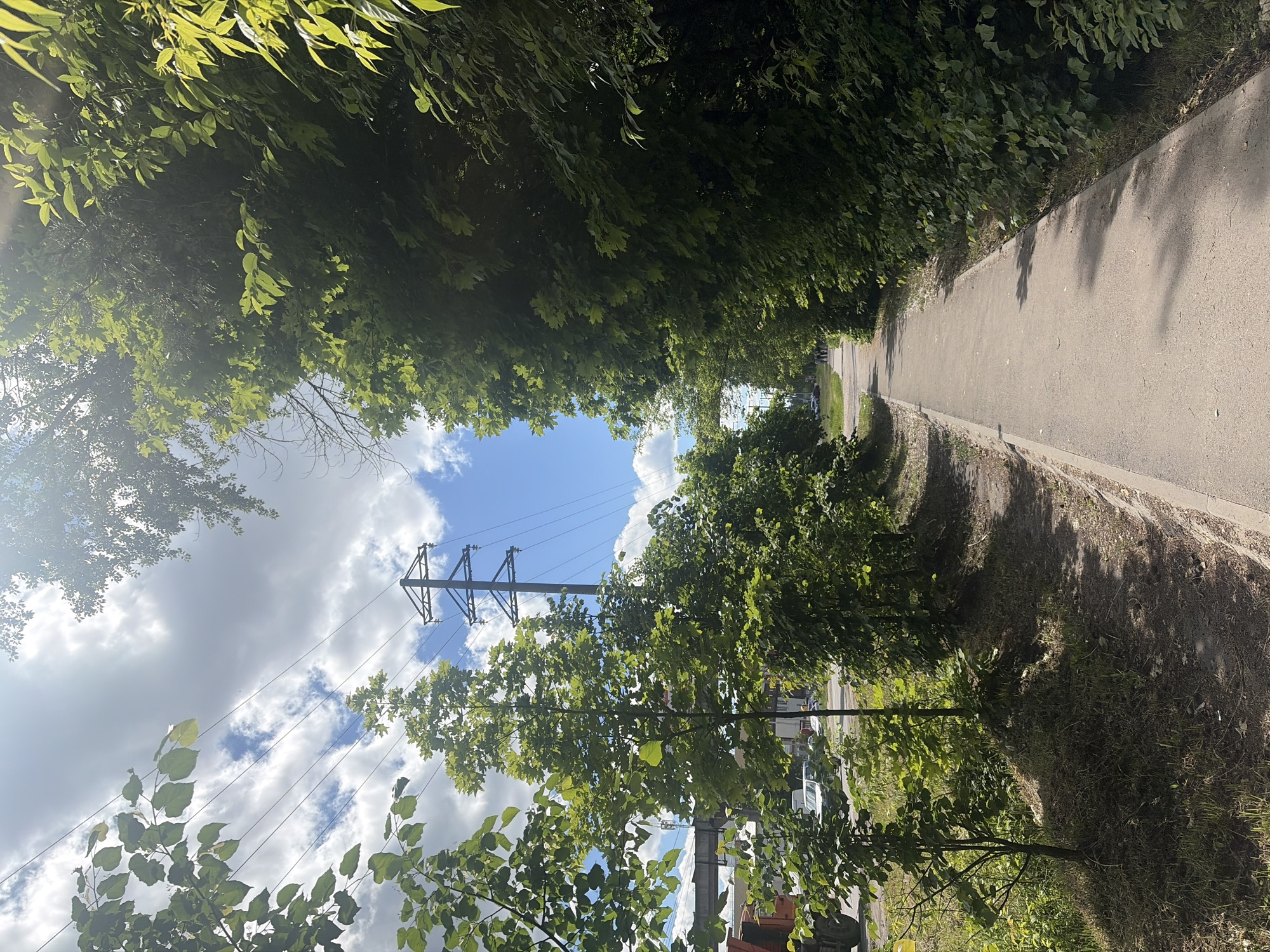 This media file captures a sunlit outdoor scene, likely a pathway or avenue in Semyonov, Russia. A paved path, possibly asphalt or concrete, extends from the foreground on the right, curving gently into the distance. It is bordered by dense, lush green foliage, primarily trees and bushes, which form a verdant canopy overhead and along the left side, creating a tunnel-like effect. Bright sunlight filters through the leaves, illuminating them with vibrant green hues and casting dappled shadows across the path.
Above the foliage, a bright sky is visible with scattered white clouds against patches of clear blue. A prominent black power pylon, an electricity transmission tower, stands tall against the sky on the left, with power lines stretching horizontally across the scene. In the far background, on the left side of the path and behind the trees, glimpses of parked or moving vehicles can be seen, suggesting proximity to a road or populated area.
The time of day appears to be daytime, characterized by bright sunlight and clear weather. There is no specific activity taking place; the image presents a static, peaceful view of the pathway. No discernible text is visible within the frame.