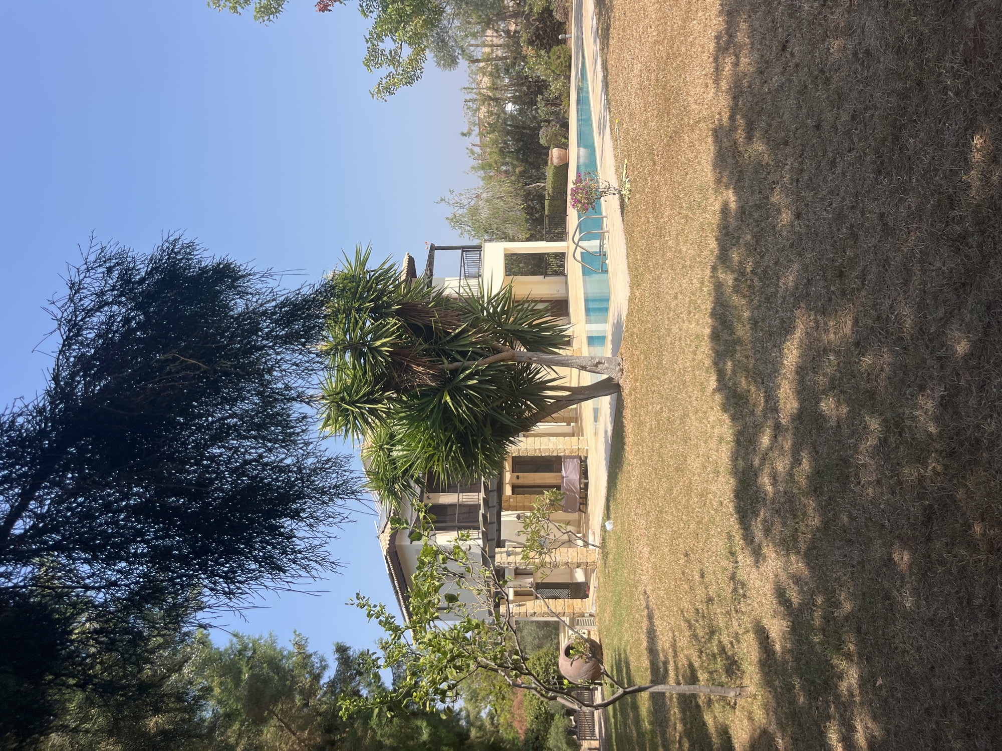 The image depicts a luxurious villa with a swimming pool in Aphrodite Hills, Cyprus. The villa is a two-story building constructed with light-colored stone and cream-colored stucco. It features a covered balcony on the upper floor and a patio area. Lush green palm trees and other vegetation surround the villa, along with a well-maintained lawn that appears somewhat dry, suggesting a warm climate. The swimming pool is rectangular and filled with clear blue water, with a metal ladder for access. The scene is bathed in bright sunlight, indicating a clear day. The overall impression is one of tranquility and upscale living.
